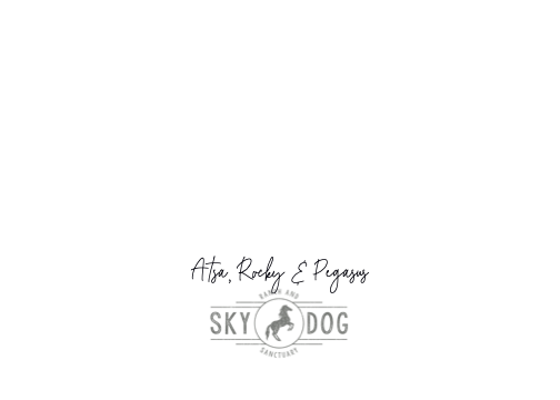 NEW SKYDOG Holiday Cards 2026 with Names (dragged) 11.png