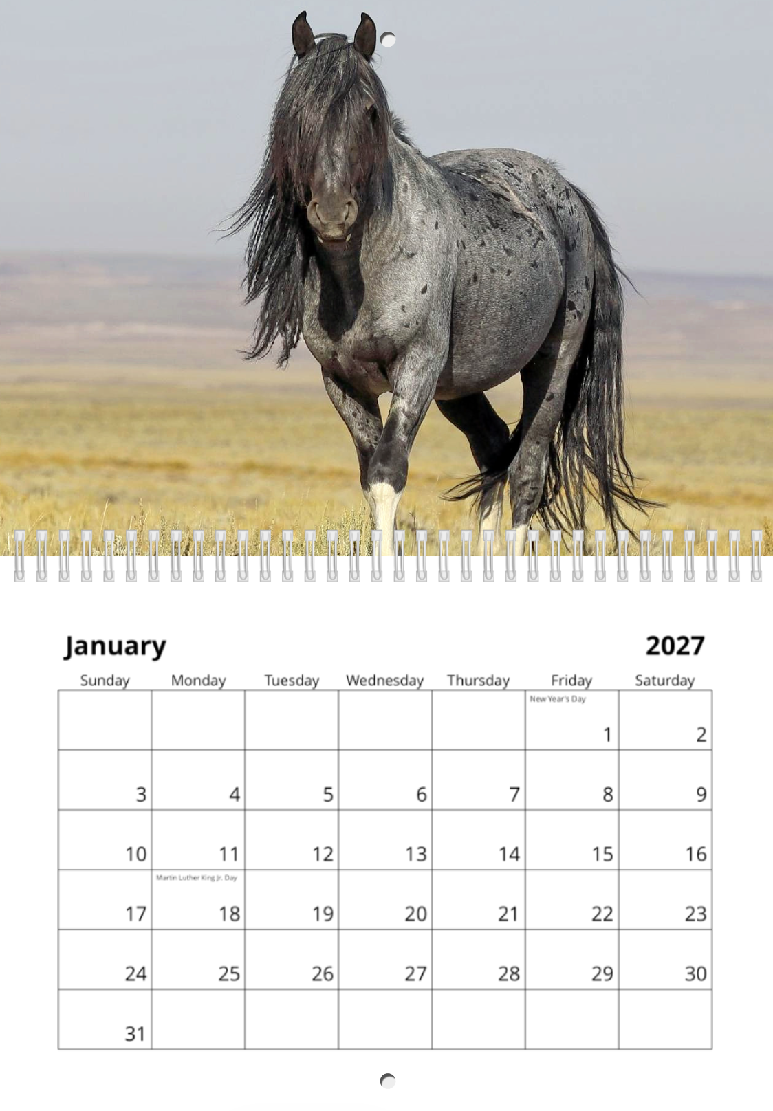 Screenshot 2026-09-09 at 5.25.13 PM.png