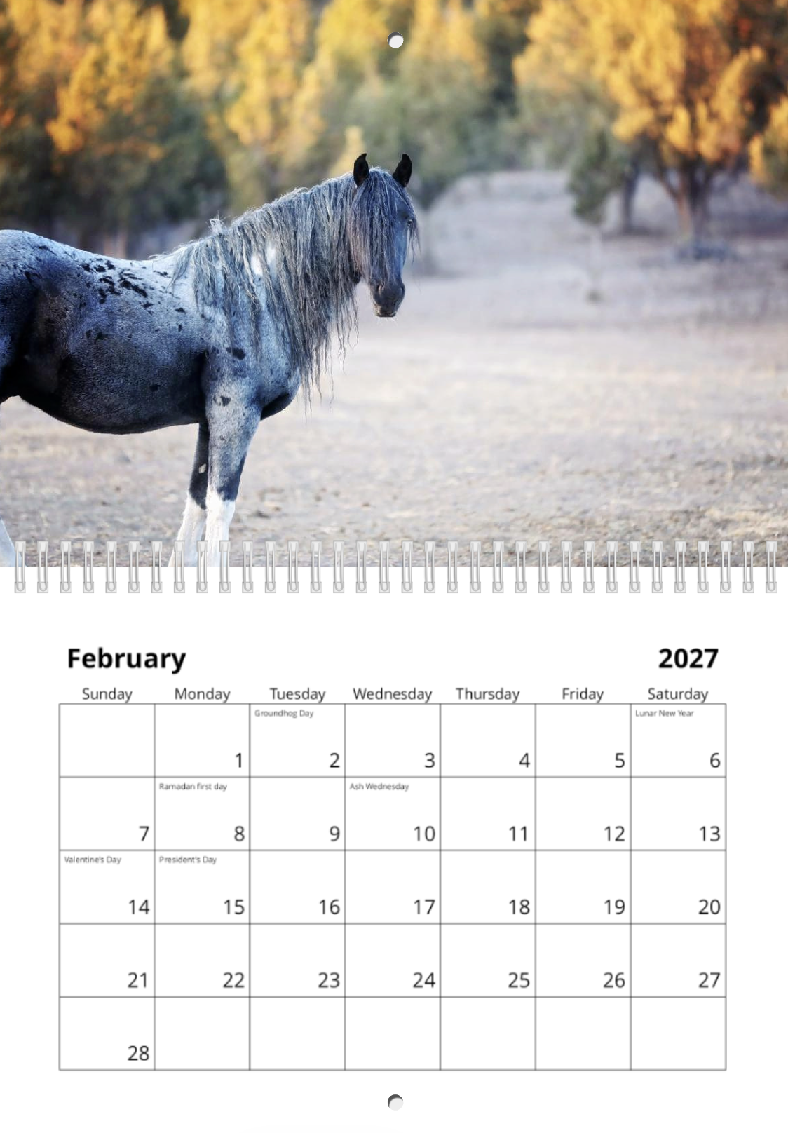 Screenshot 2026-09-09 at 5.25.18 PM.png