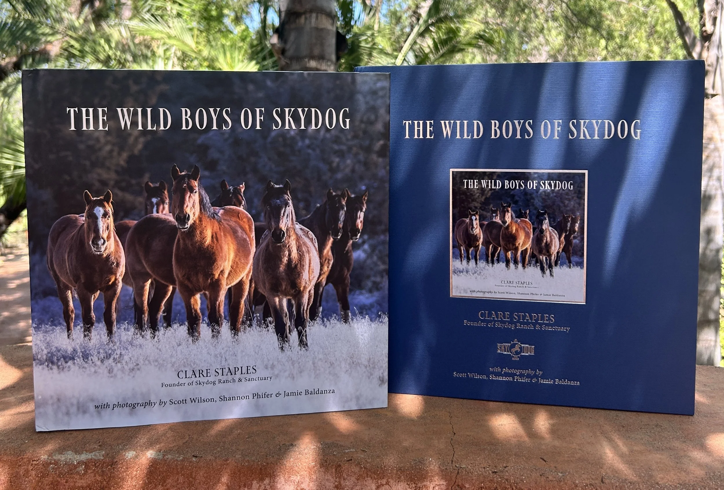 The Wild Boys of Skydog' Collector's Edition (Autographed with