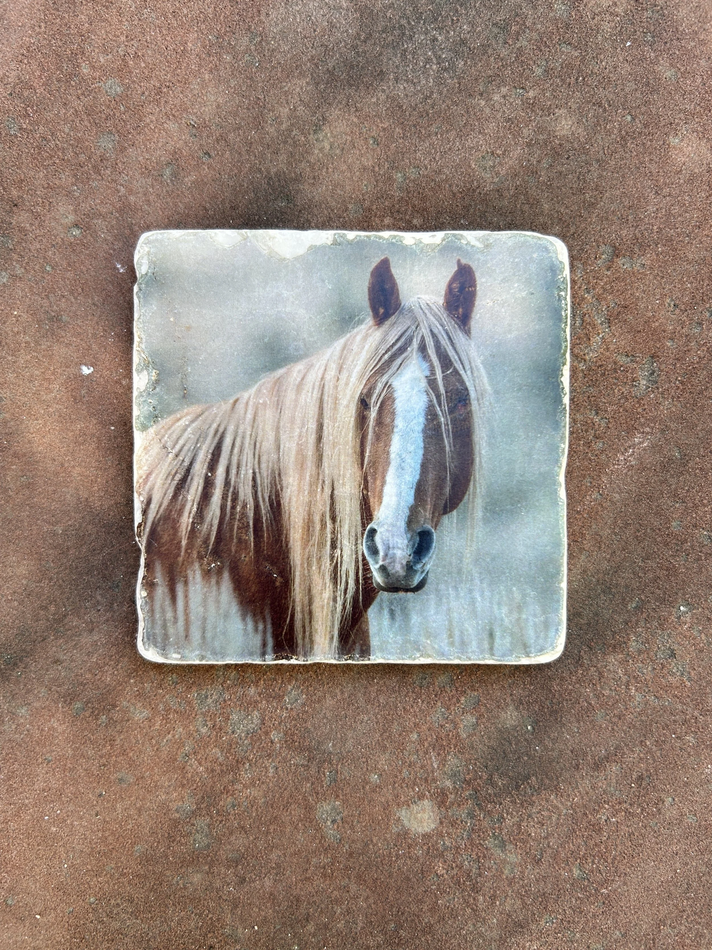 Coaster Spartacus.JPG