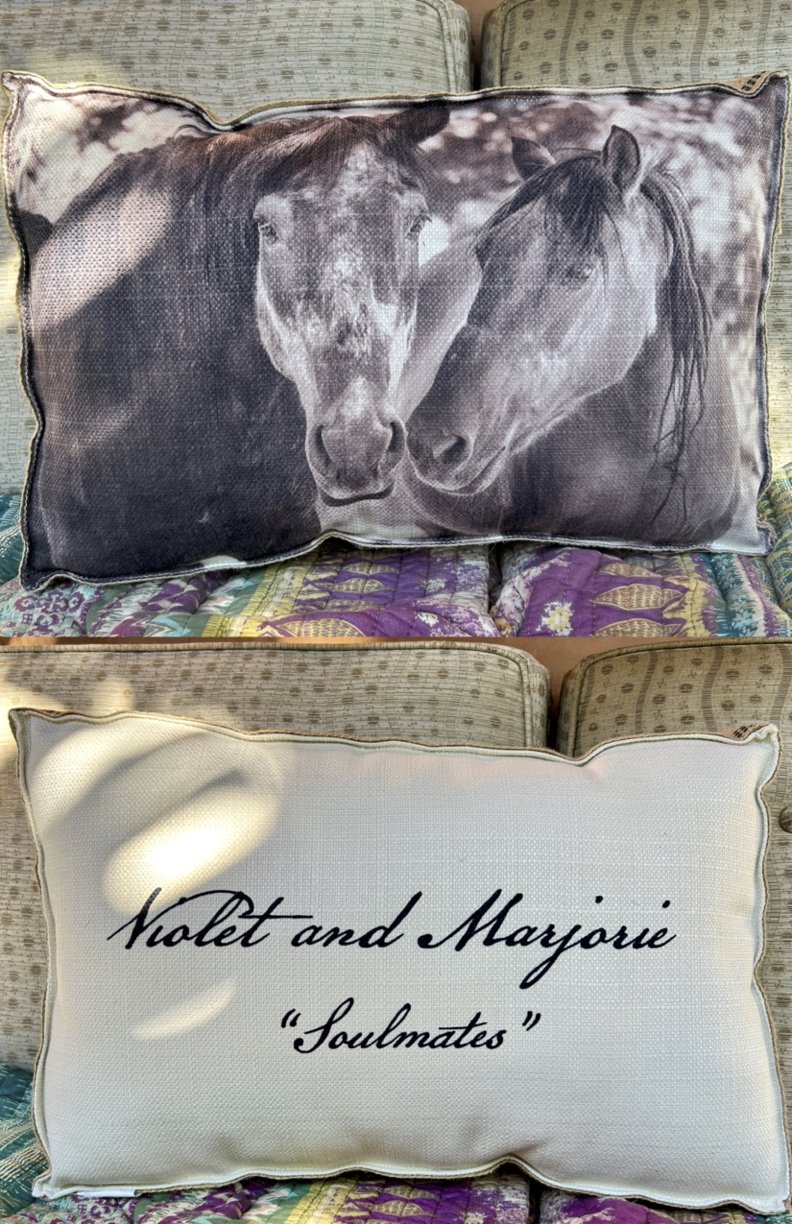 Violet & Marjorie Pillow Double Image copy 2.jpg