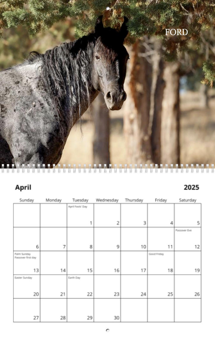 Boys of Skydog 2025 Calendar — Skydog Ranch & Sanctuary 2025-horses-in-the-mist-wall-calendar-wild-wings
