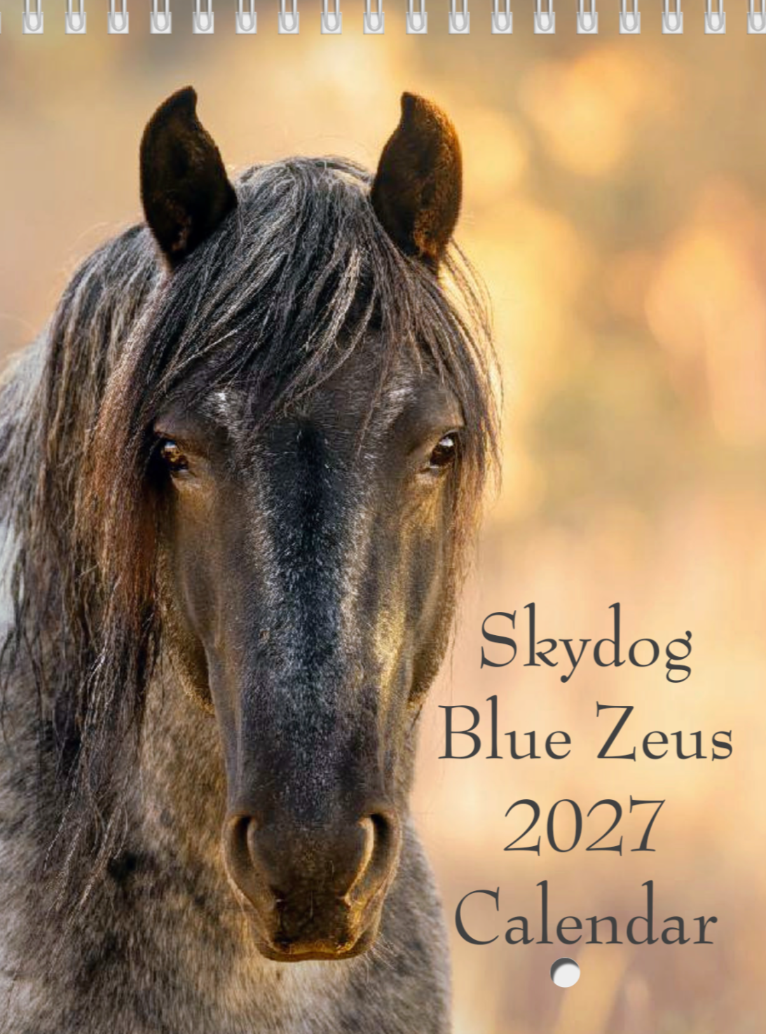 ALL NEW!!!! Pre Order !!! 2027 Blue Zeus Calendar