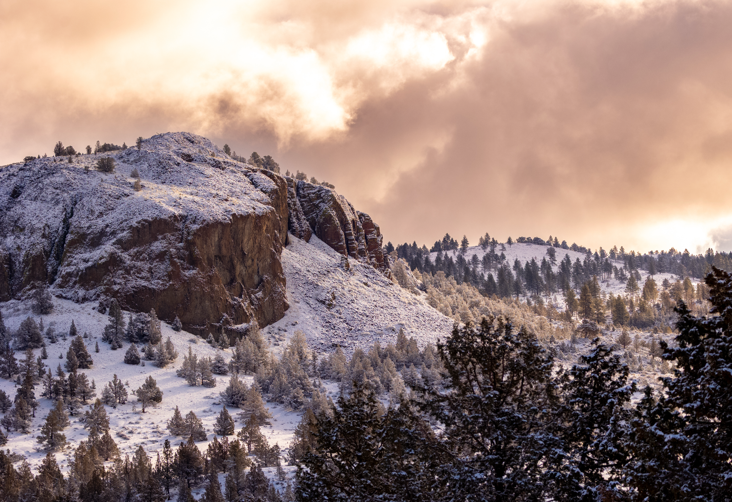 Screenshot 2025-03-17 at 7.01.34 PM.PNG