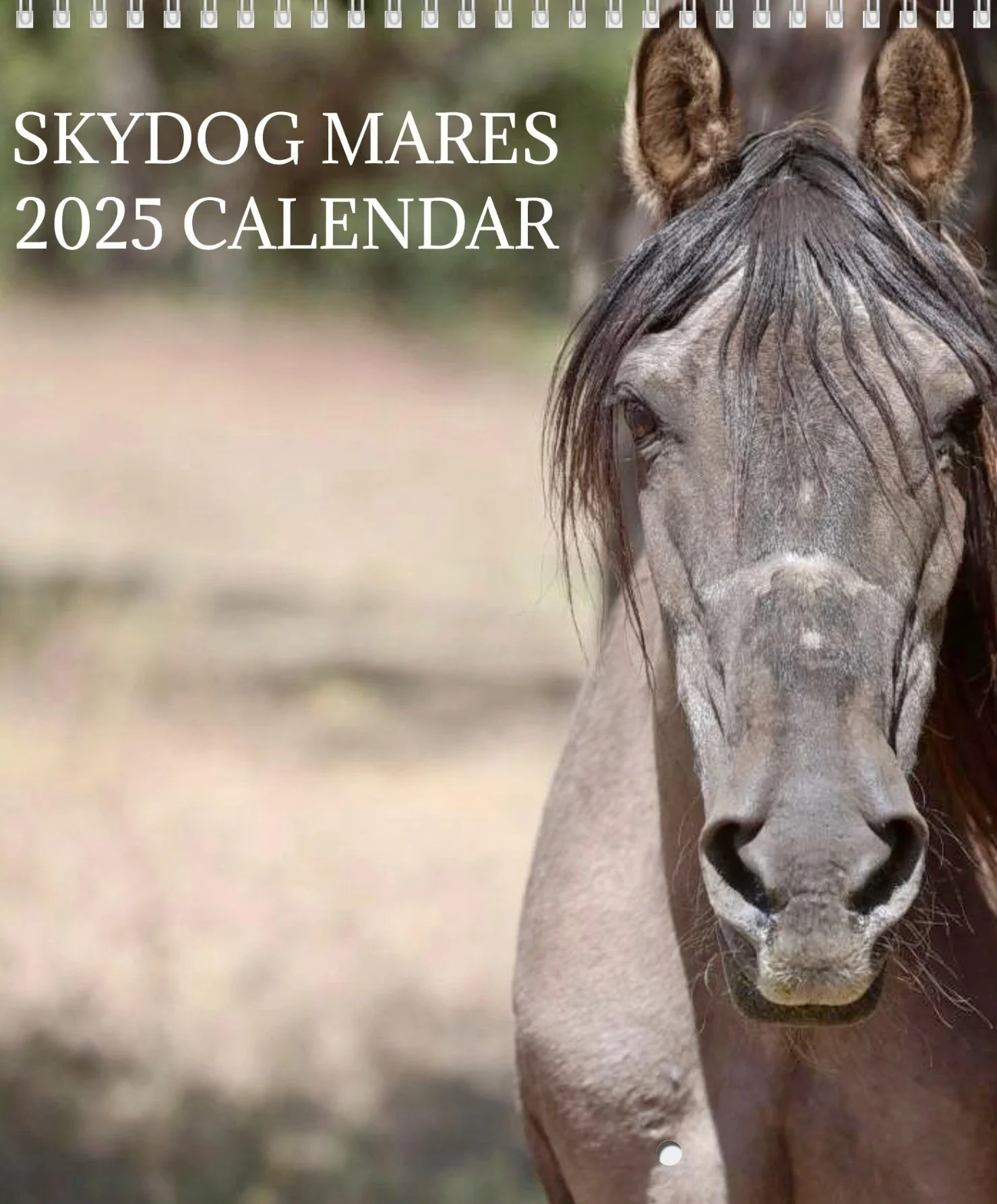 Skydog Mares 2025 Calendar