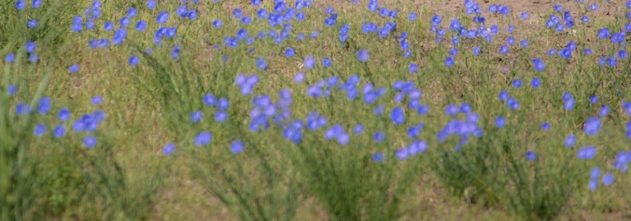 IMG_9974.jpeg