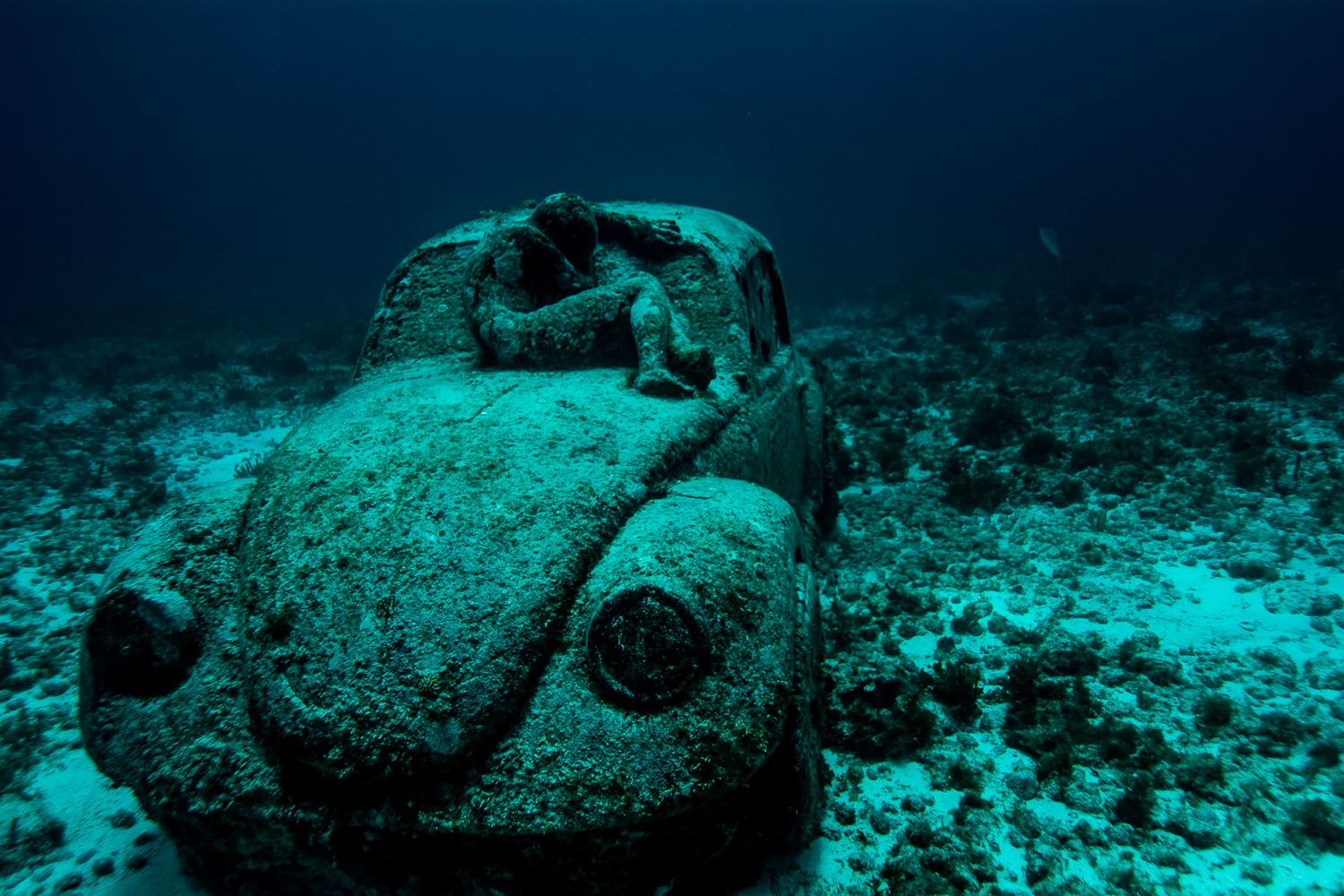 Aqua VW, Isla Mujeres, Mexico.jpg