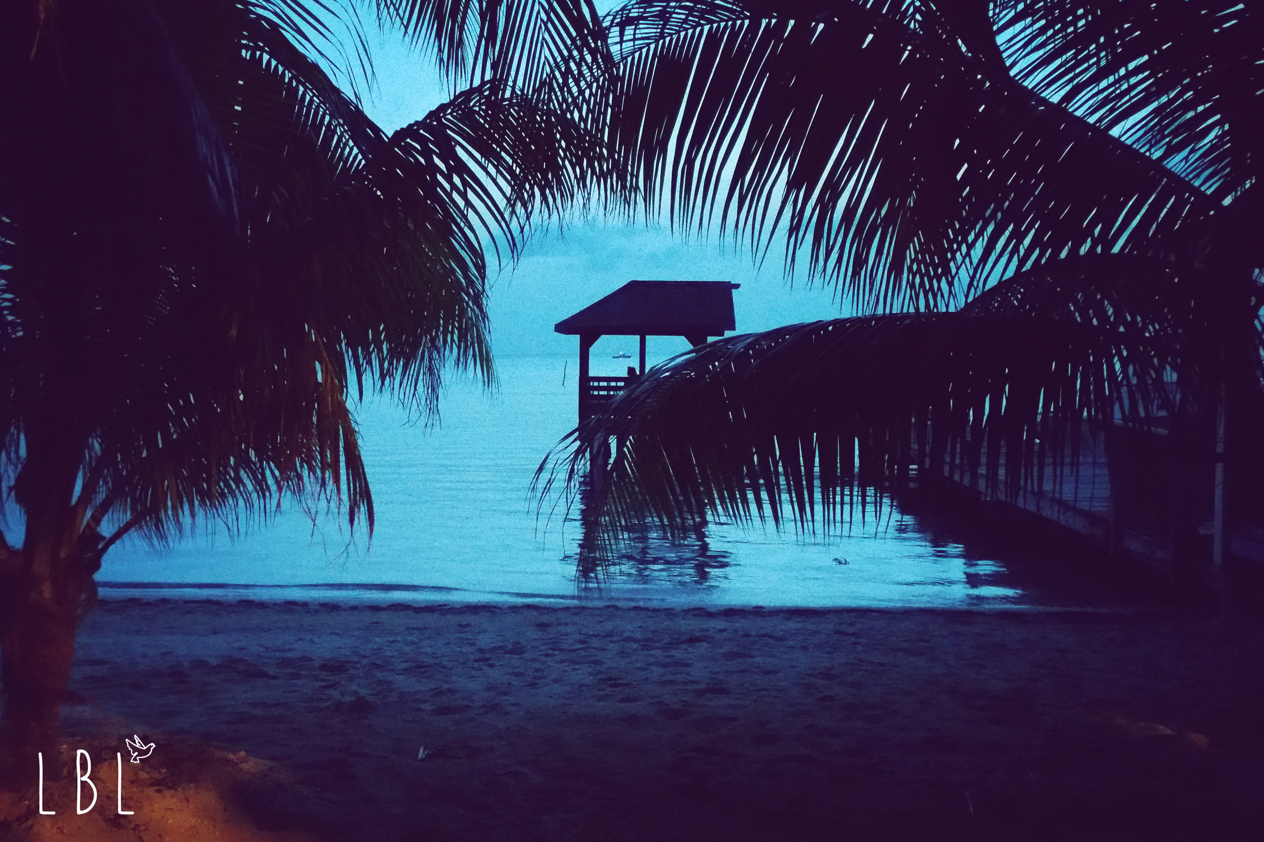 I spent my days working & diving so I have no pictures other than at night :)