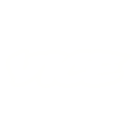 vice-2.png