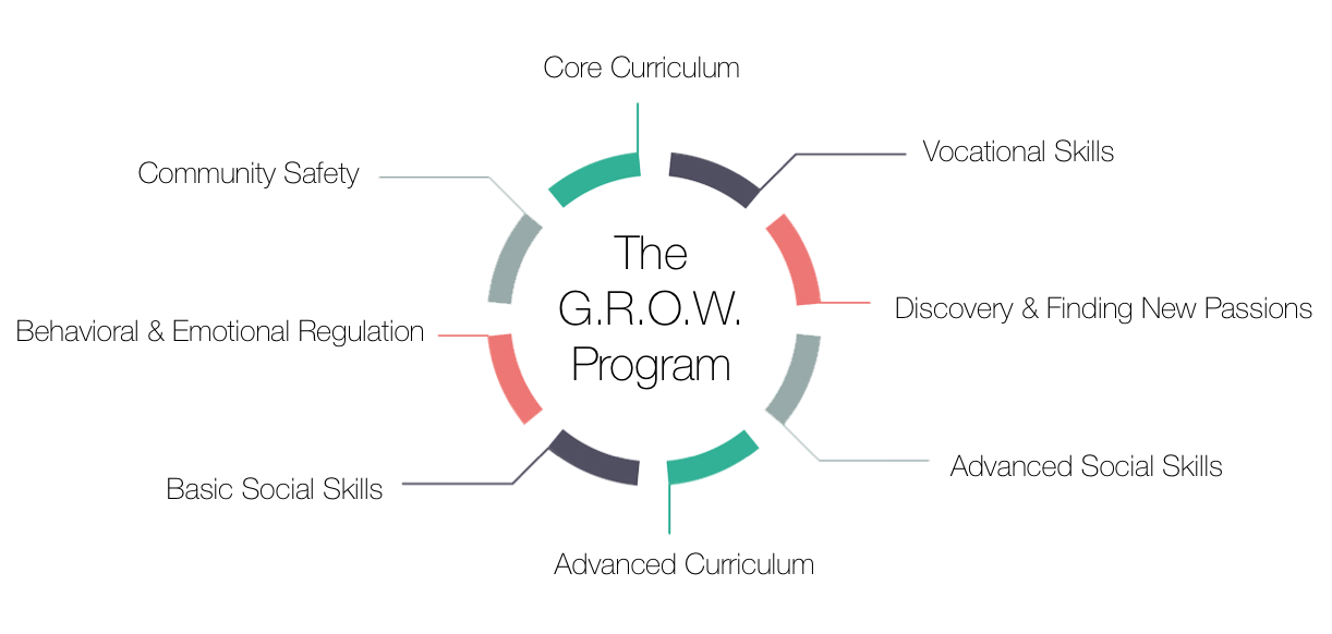 The Dual Curriculum © offers clients a wide variety of education