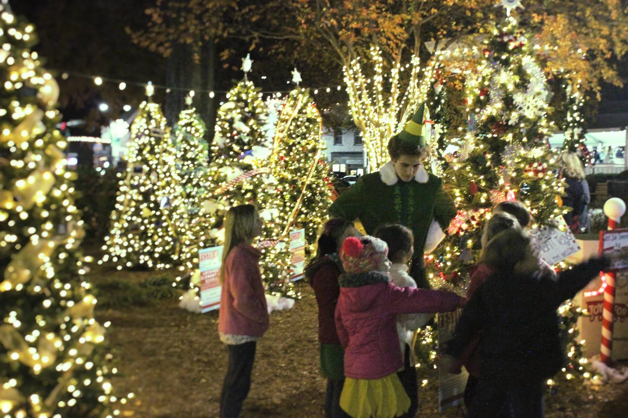 Festival of Trees.jpg