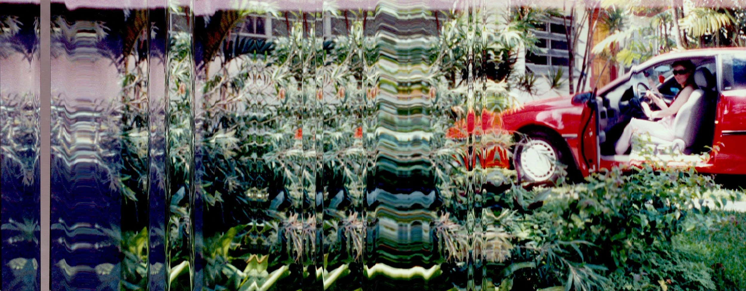 11722533_10154009498406029_2618889482965315821_o.jpg