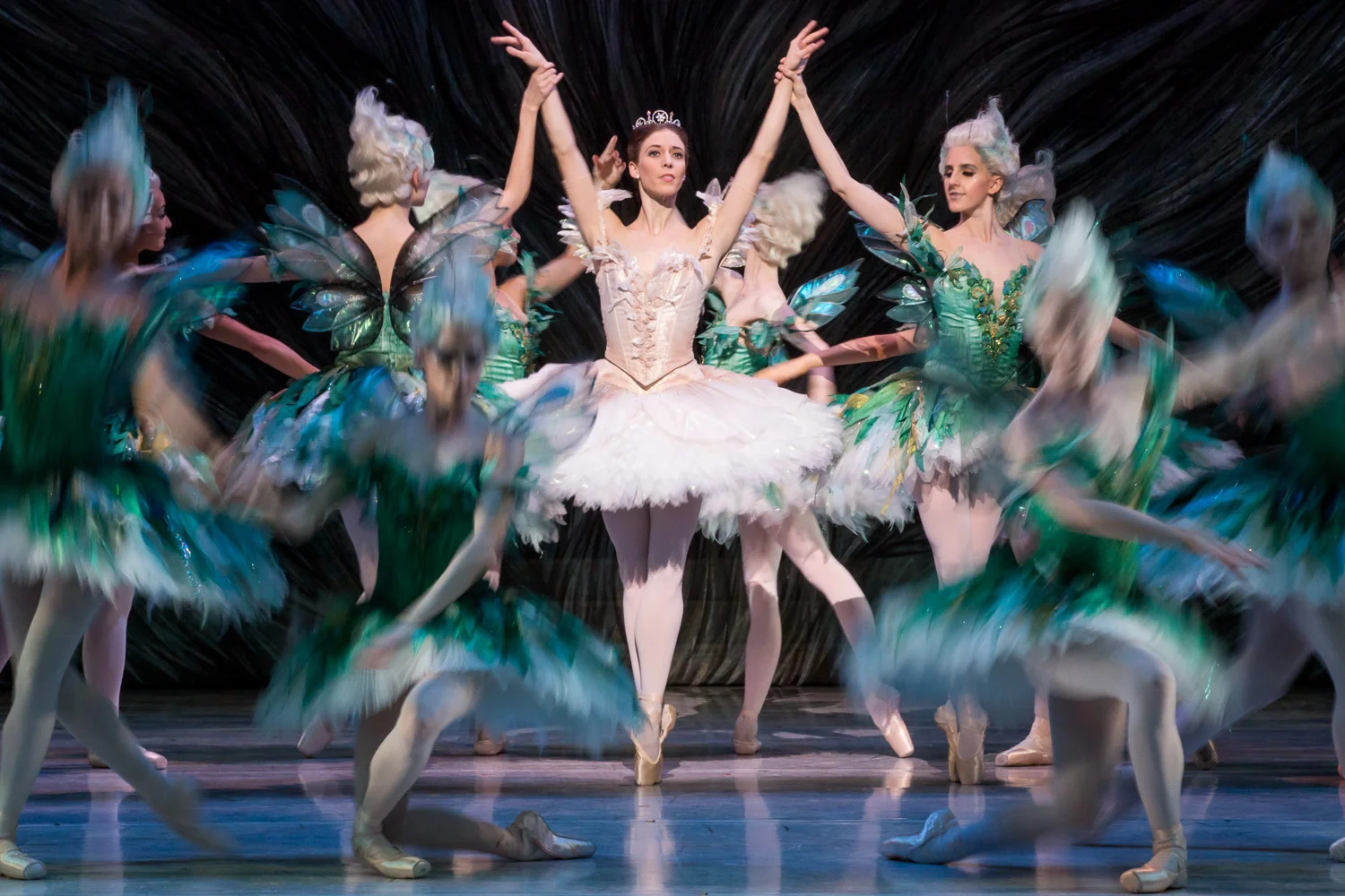 The Australian Ballet
