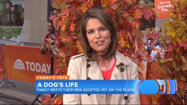 #MakeADogsDay Case Study