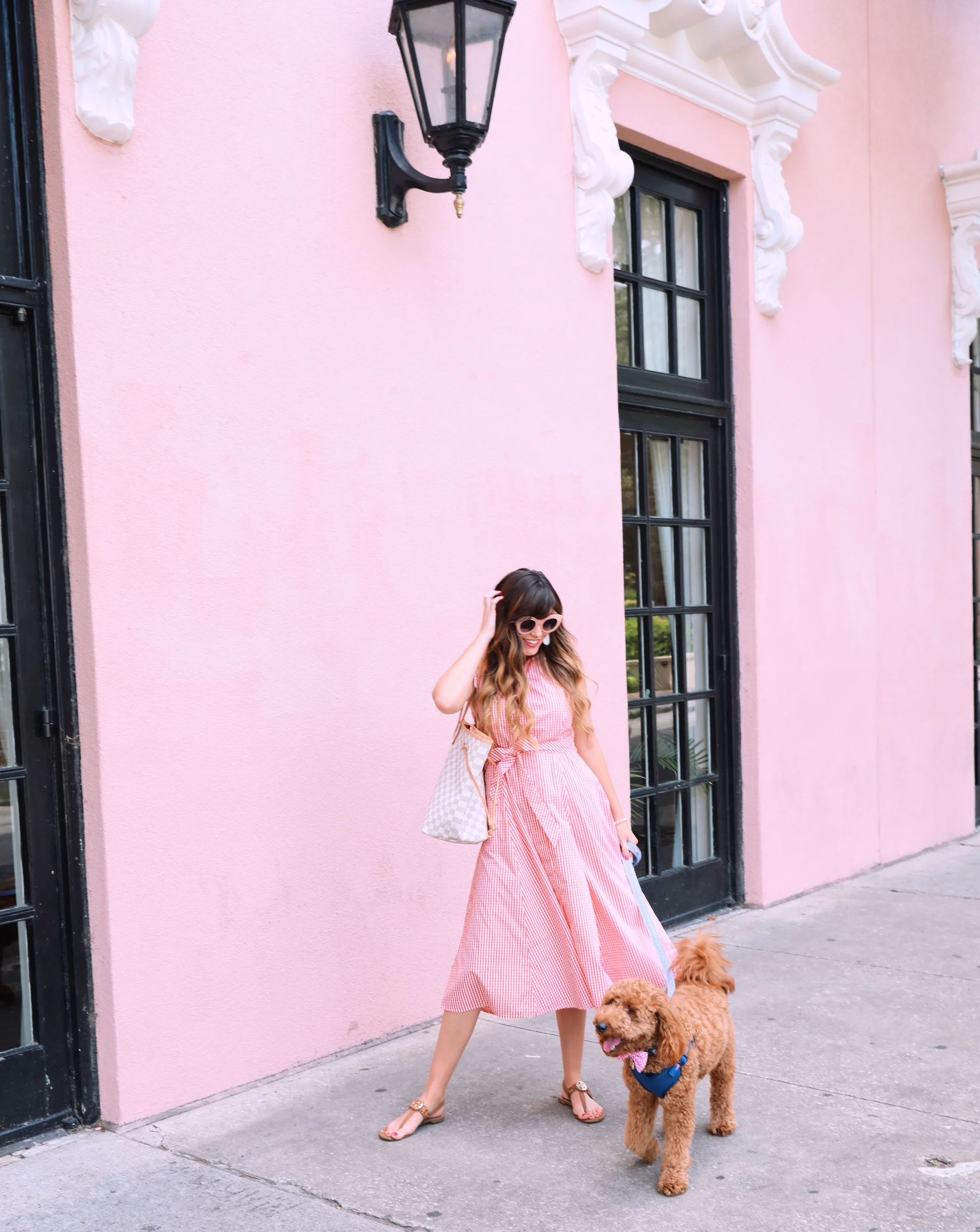 charleston dress and pet friendly places.jpeg