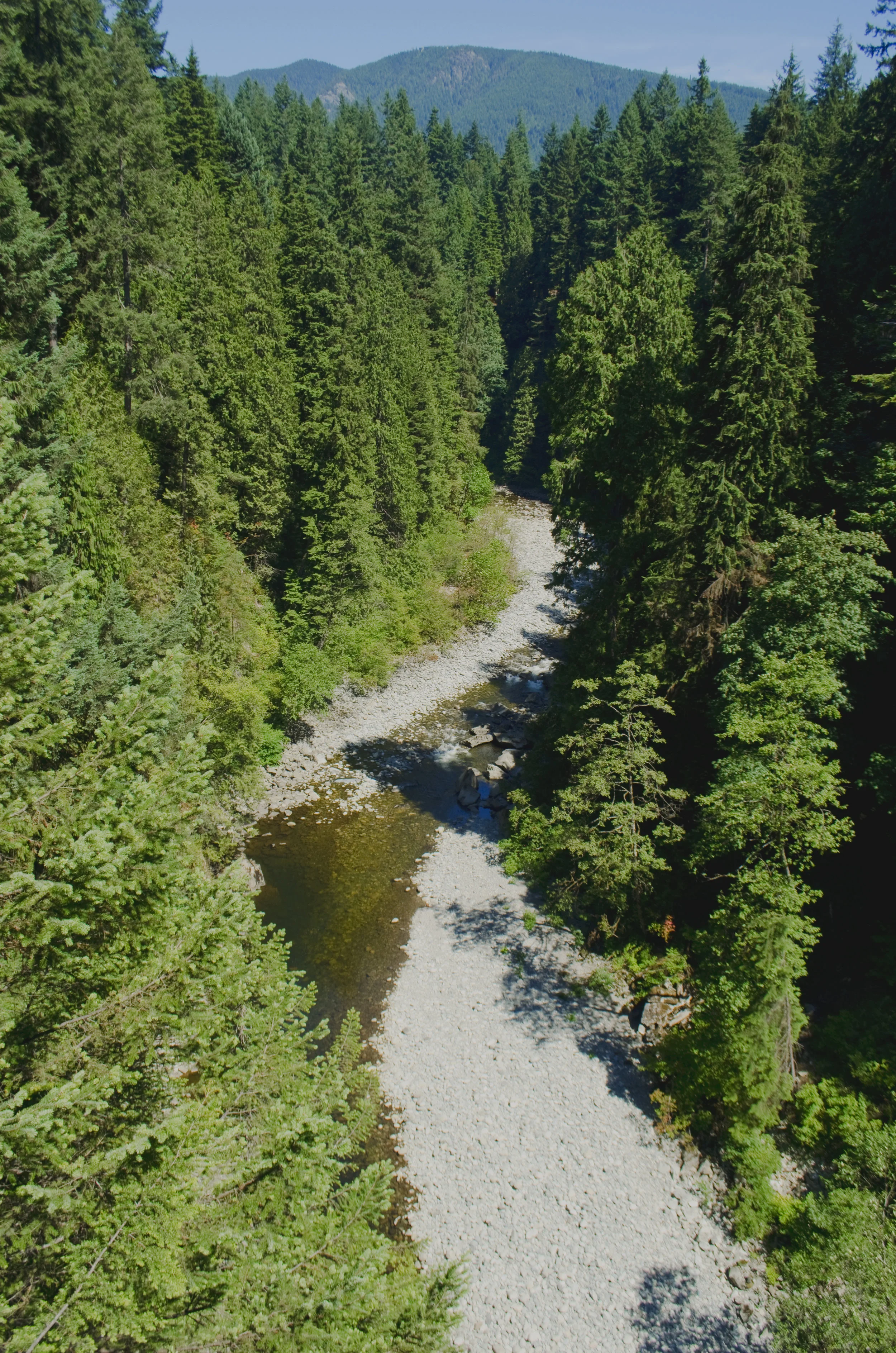 View while crossing the suspension bridge