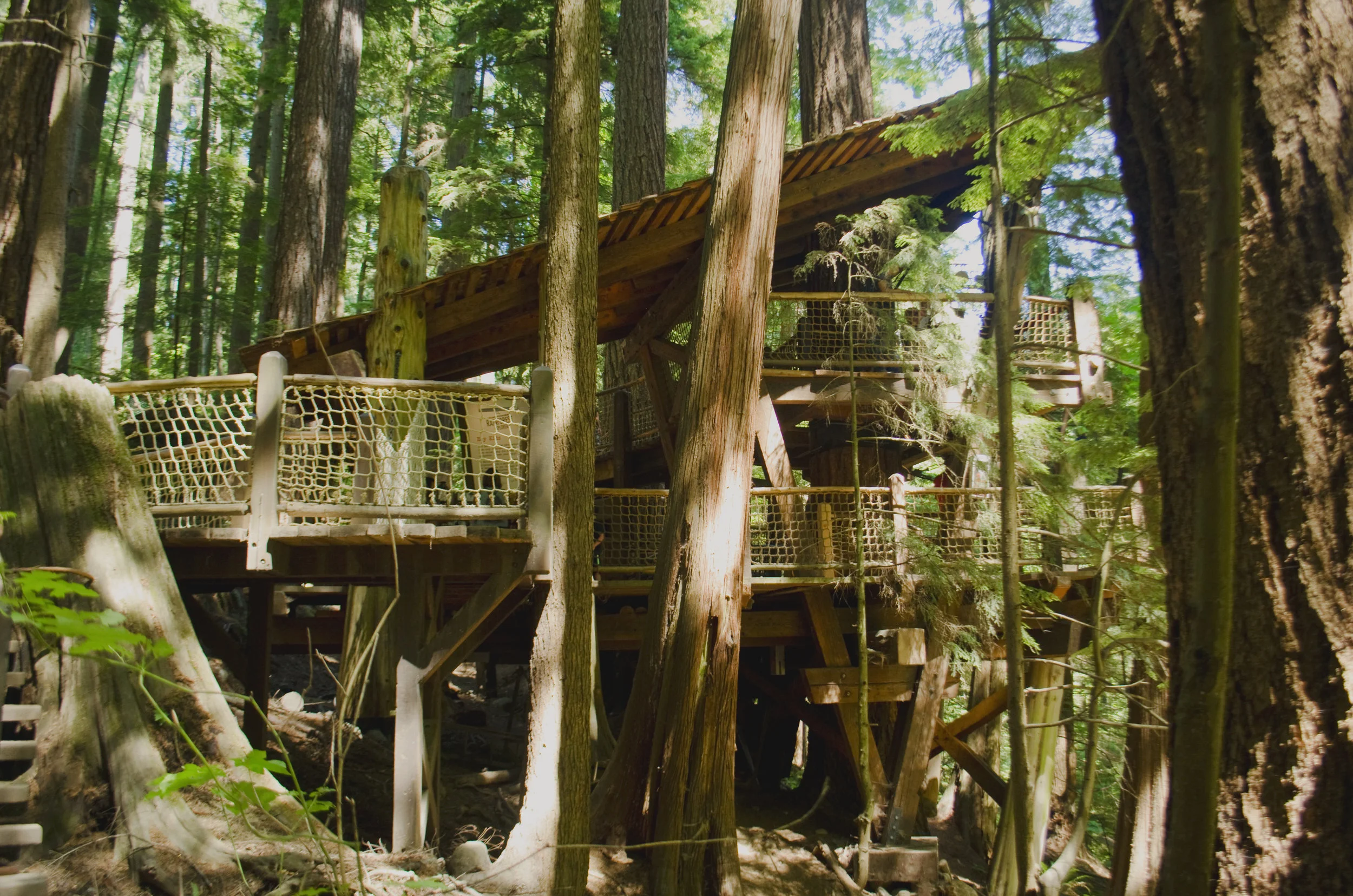 Treetops Adventure 