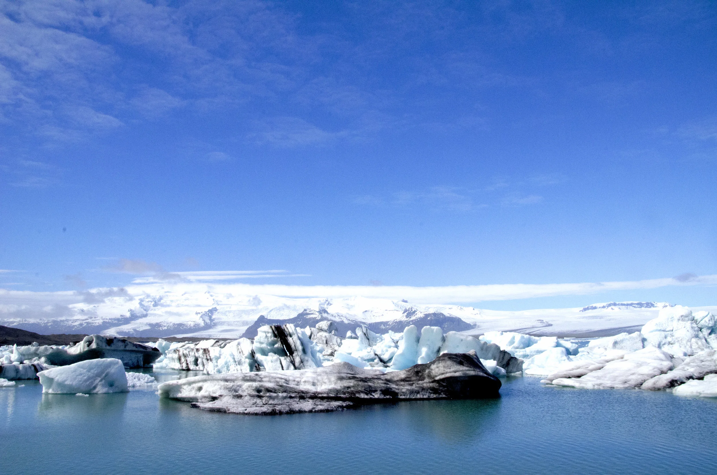 Some of the icebergs had these intense black streaks. I call them zebra-bergs. 