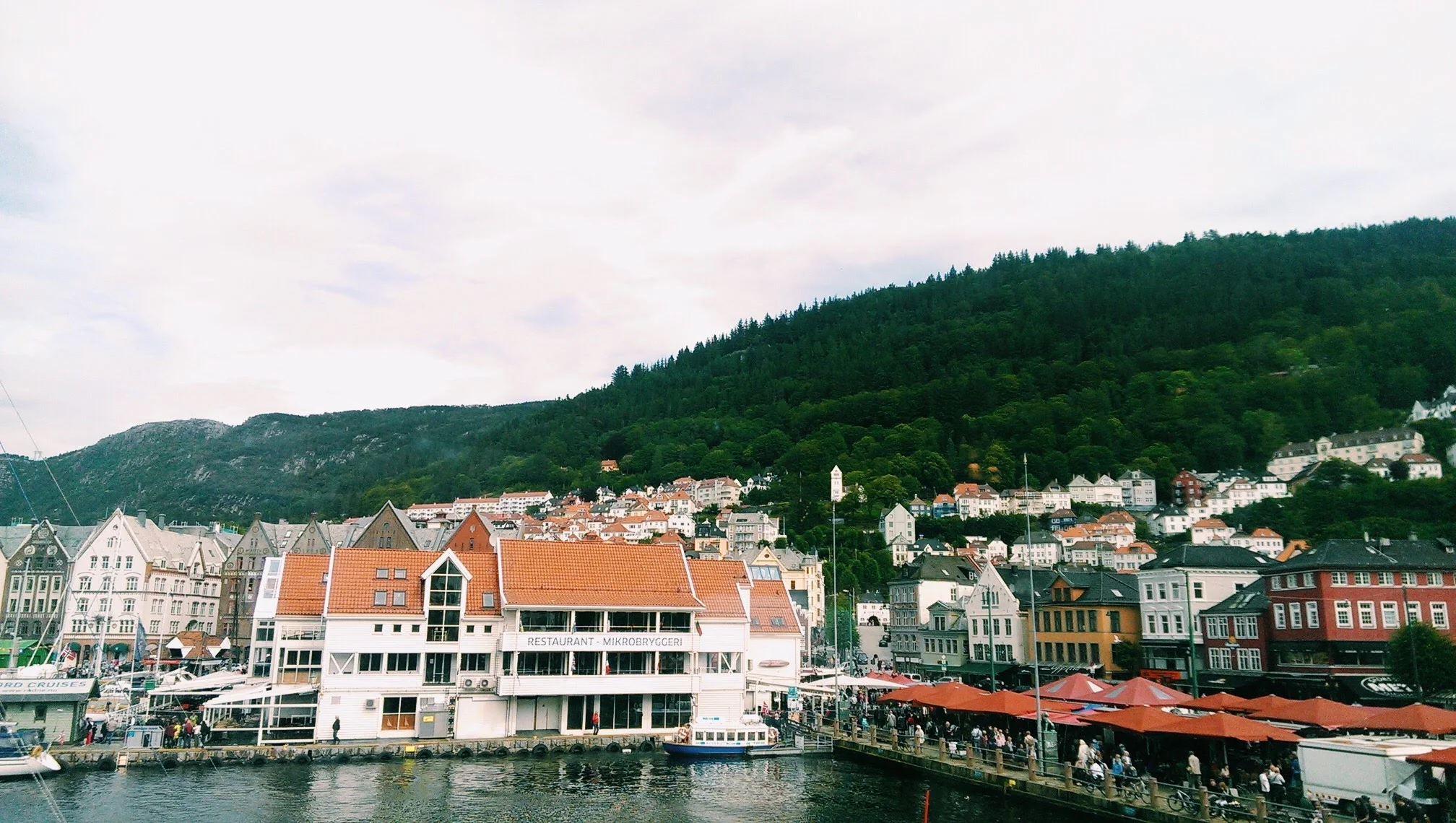 Processed with VSCOcam with c1 preset