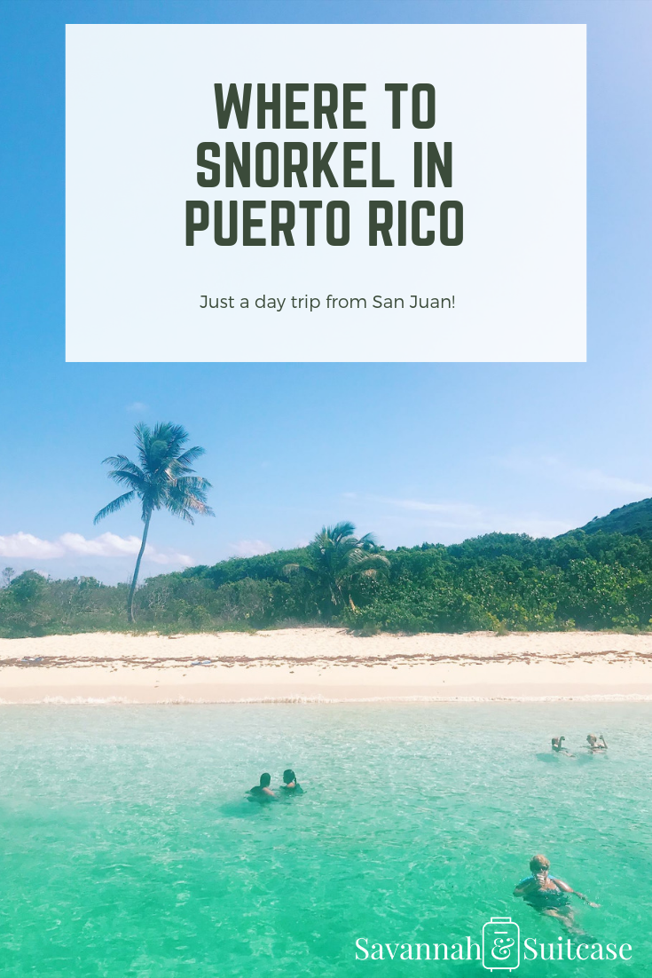 Where to Snorkel in Puerto Rico.png