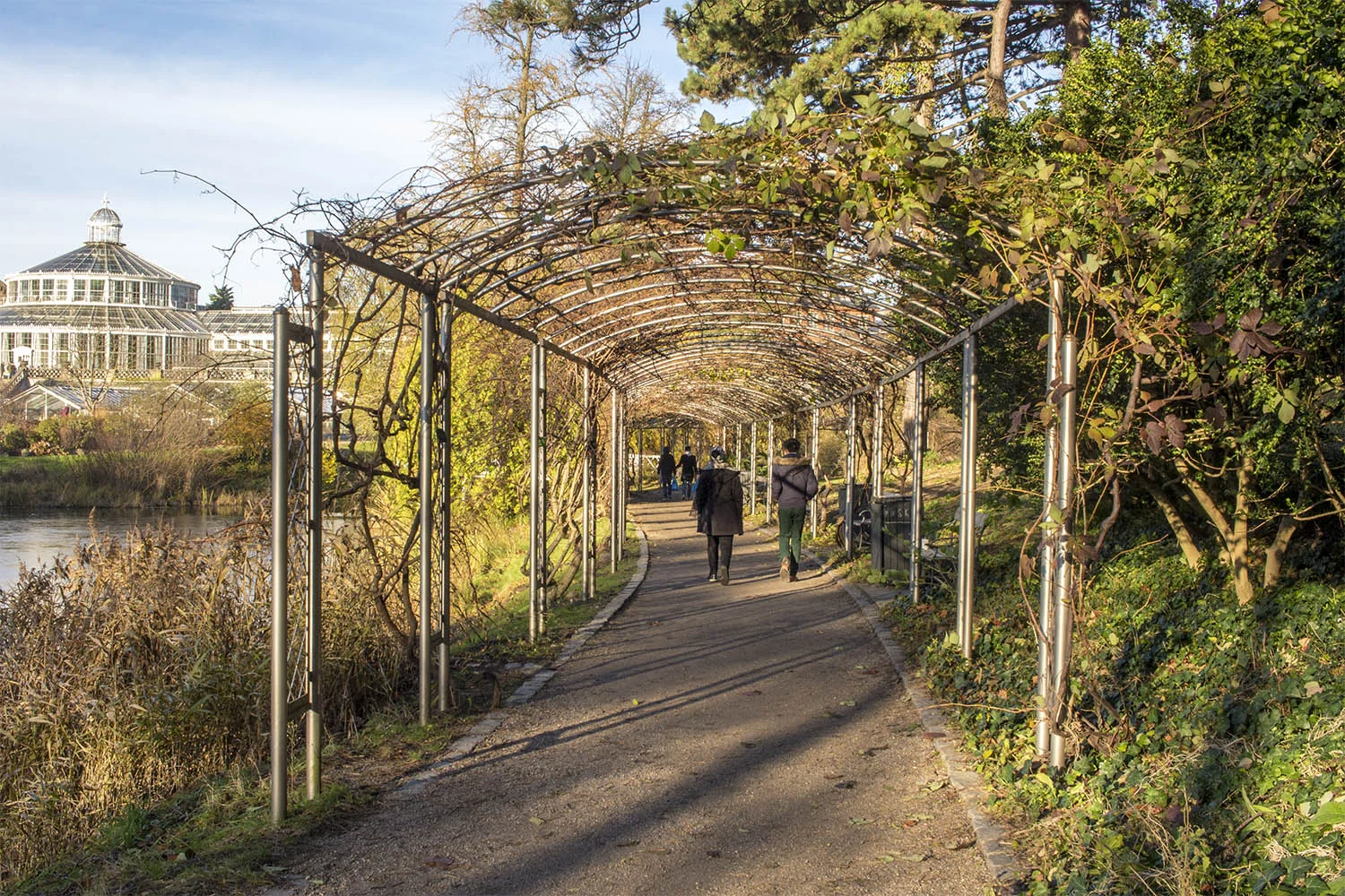 botanical-gardens-copenhagen-pathway.jpg