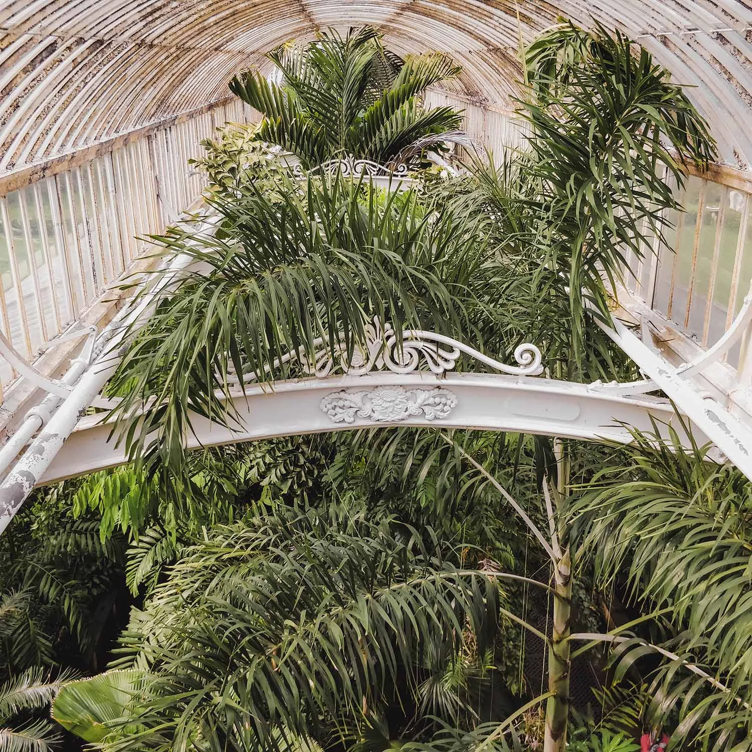 kew-gardens-palm-house.jpg