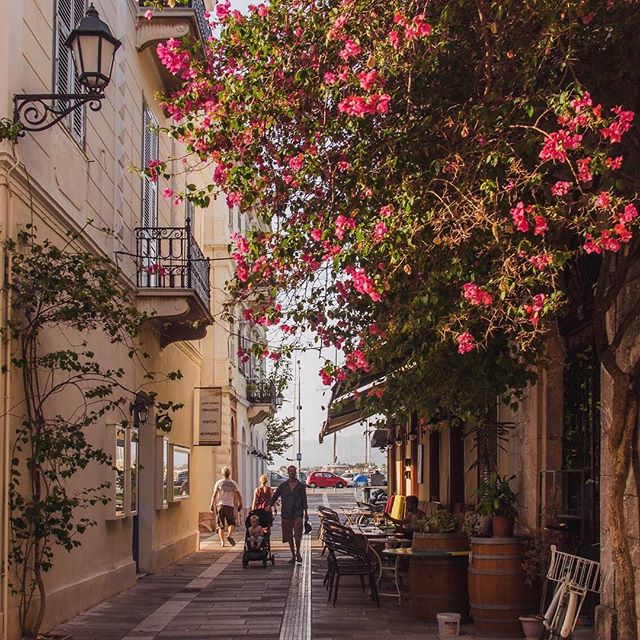 ✨New Blog: Nafplio, Greece✨

Love at first sight 💕

When I first arrived in Nafplio, I was perplexed. Wrought iron balconies, colourful shutters and blushing bougainvillea climbing the walls had me thinking I was in small town Italy. 
Small town Ita