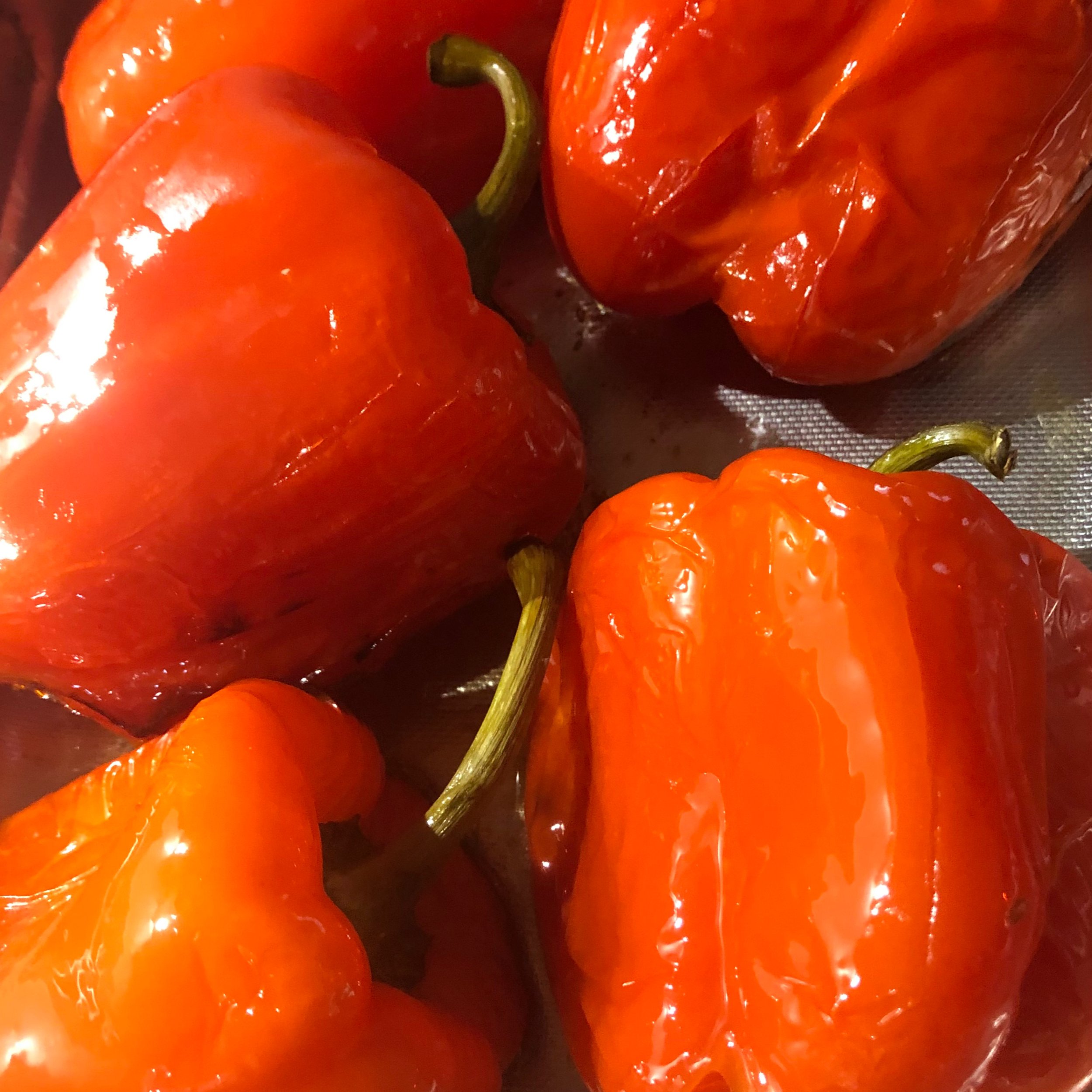oven roasted capsicums.JPG
