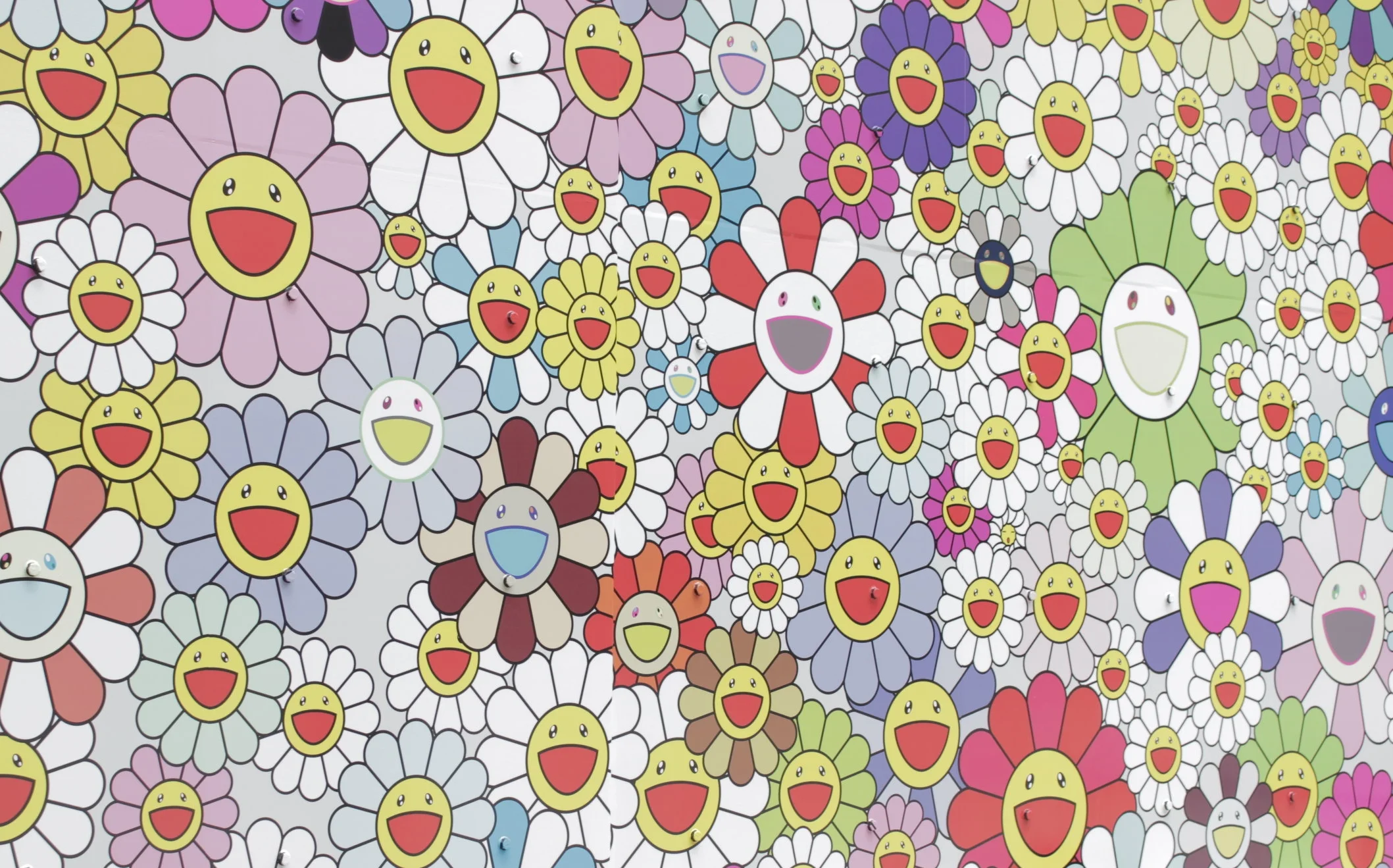 Teachers Are Not Shy