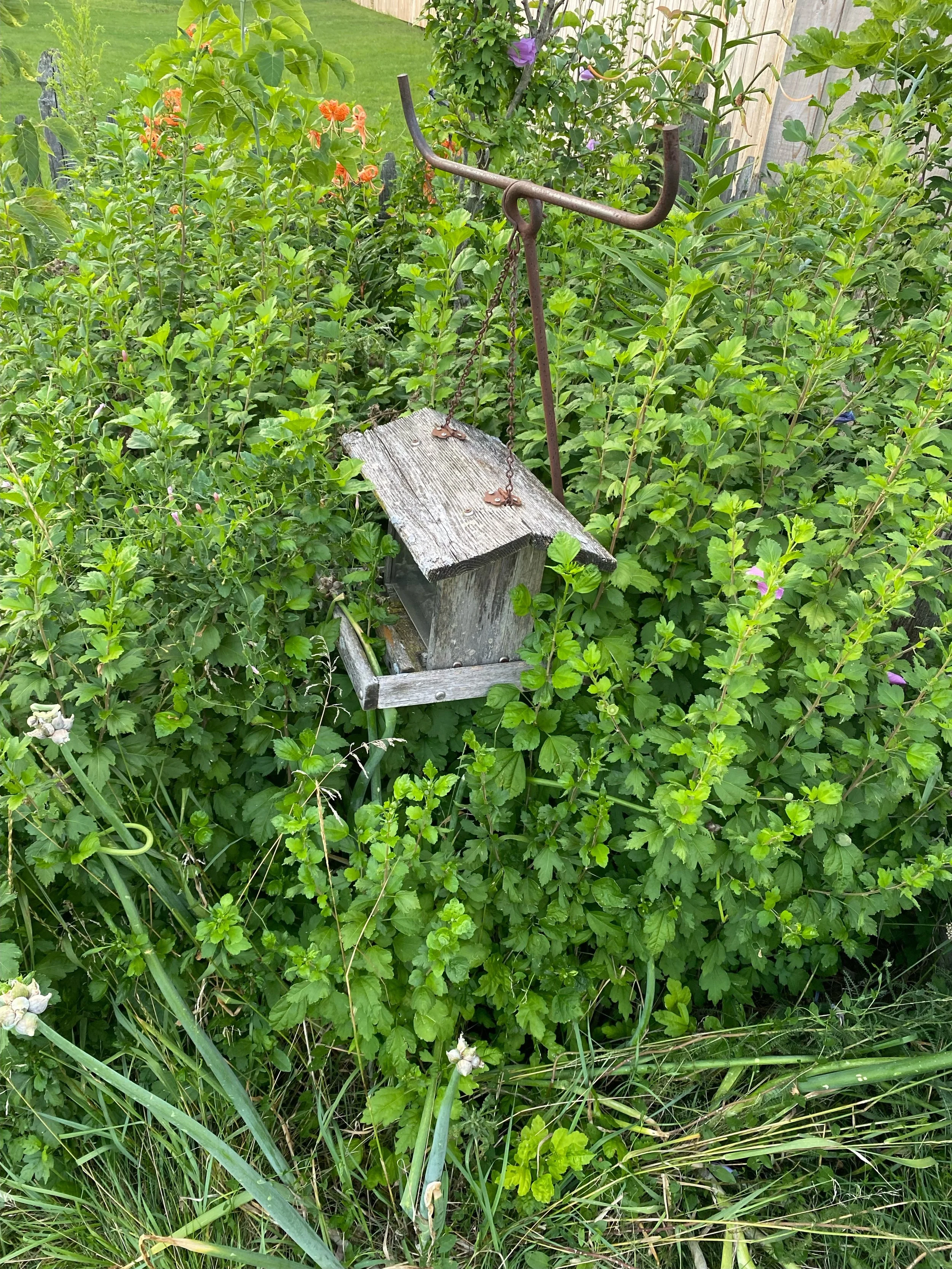 October Stories - The Creature in the Corner of the Yard