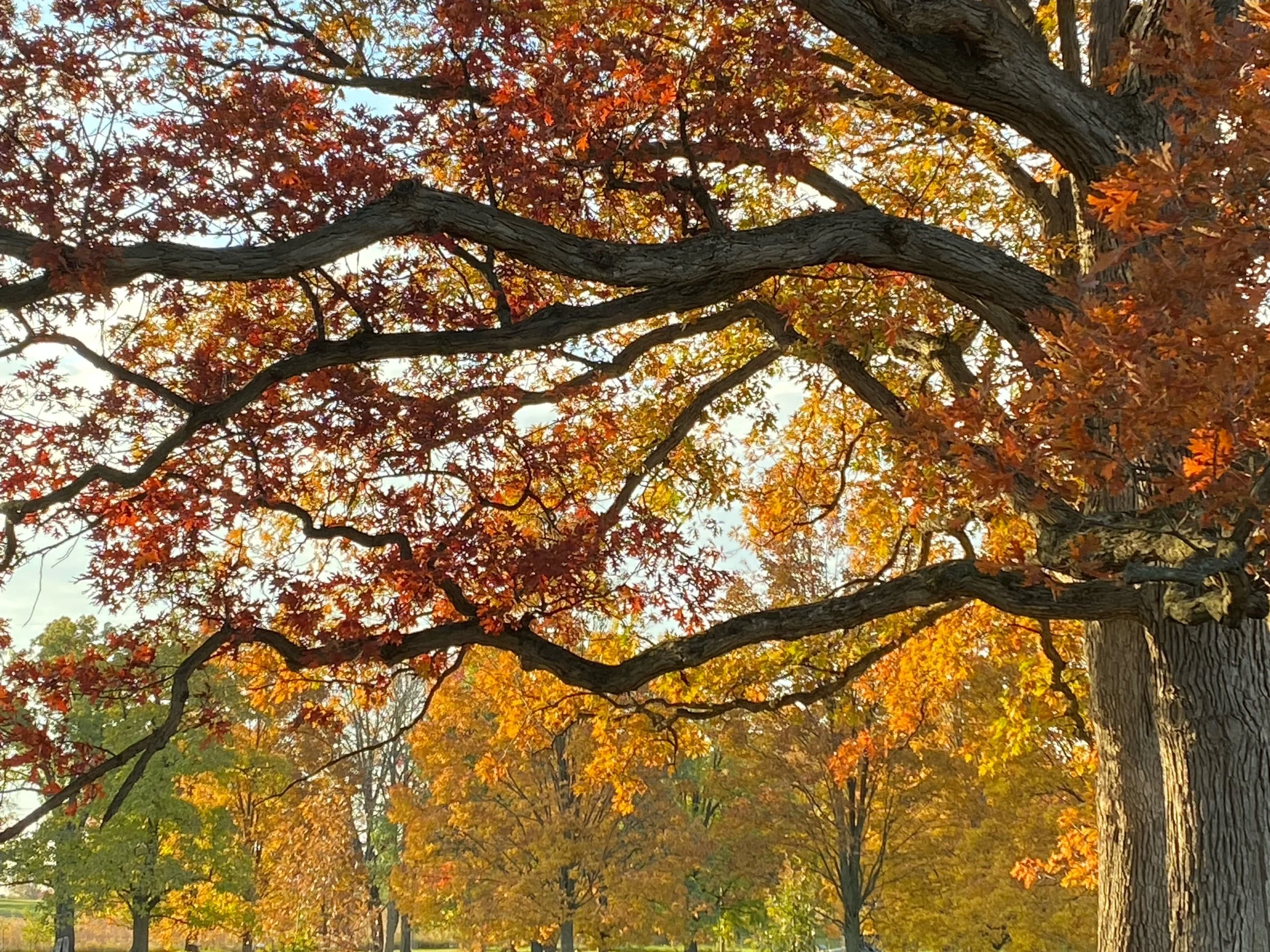 October Stories - Trying and Failing to Scare People (The Haunted Stairway)