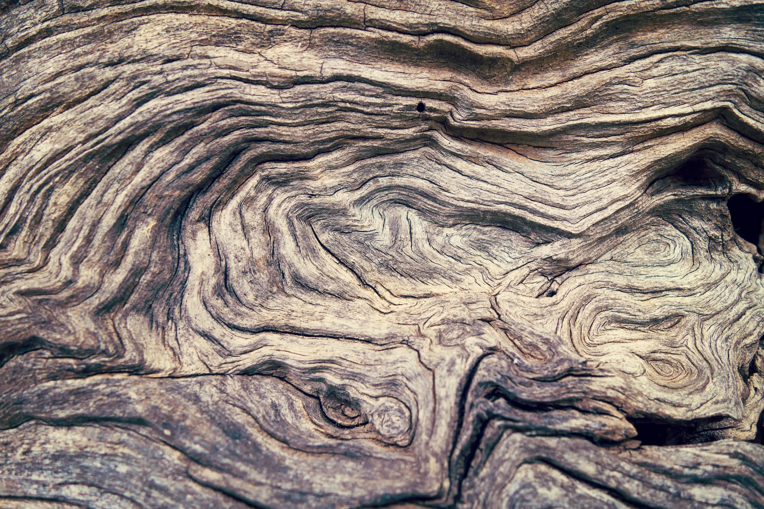 AdobeStock_82953395.jpeg