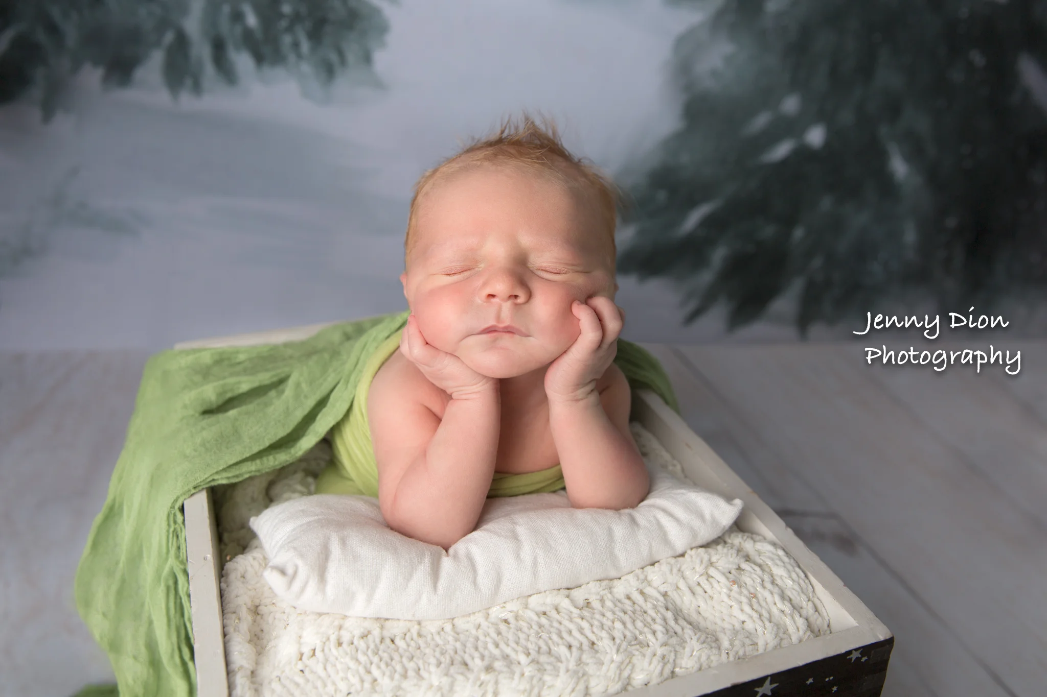 2U8A2107-Edit-Edit-Edit-Edit.jpg