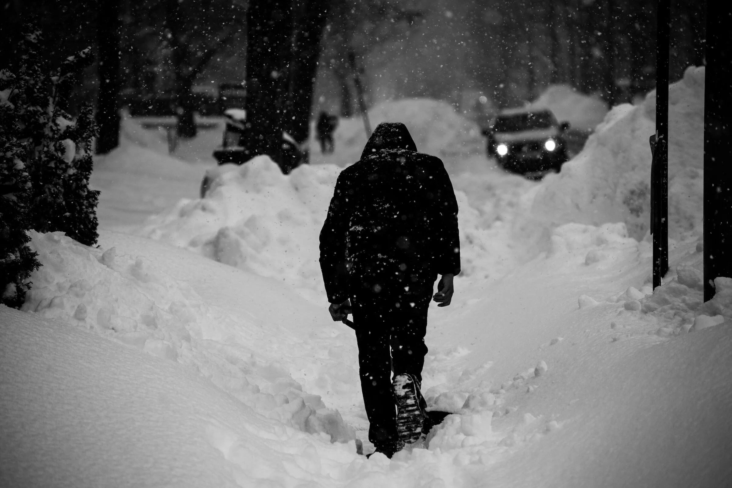 snowdayfeb2019 copy.jpg