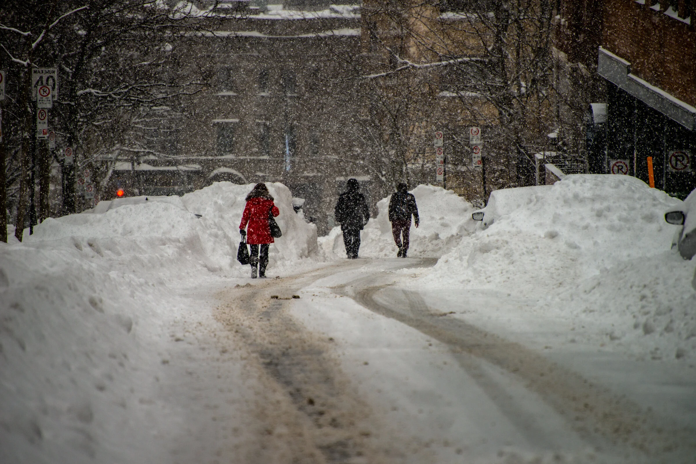 snowdayfeb2019#2 copy.jpg