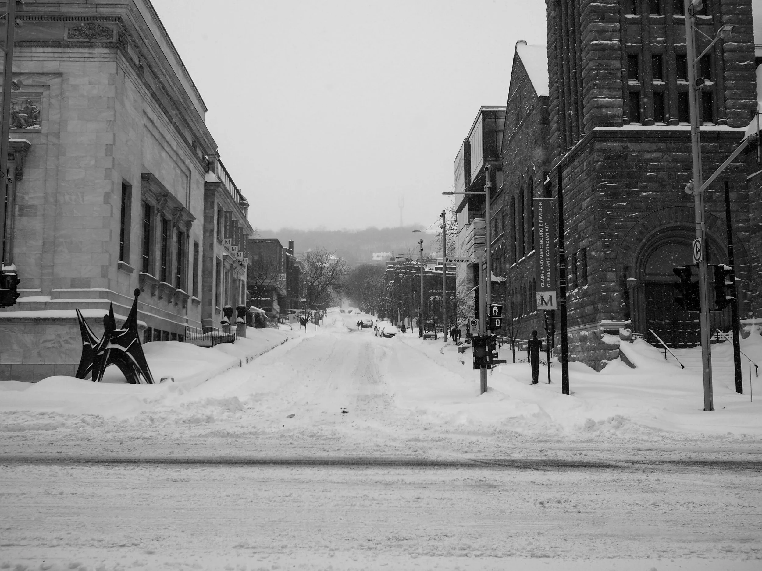 afterthesnow.jpg