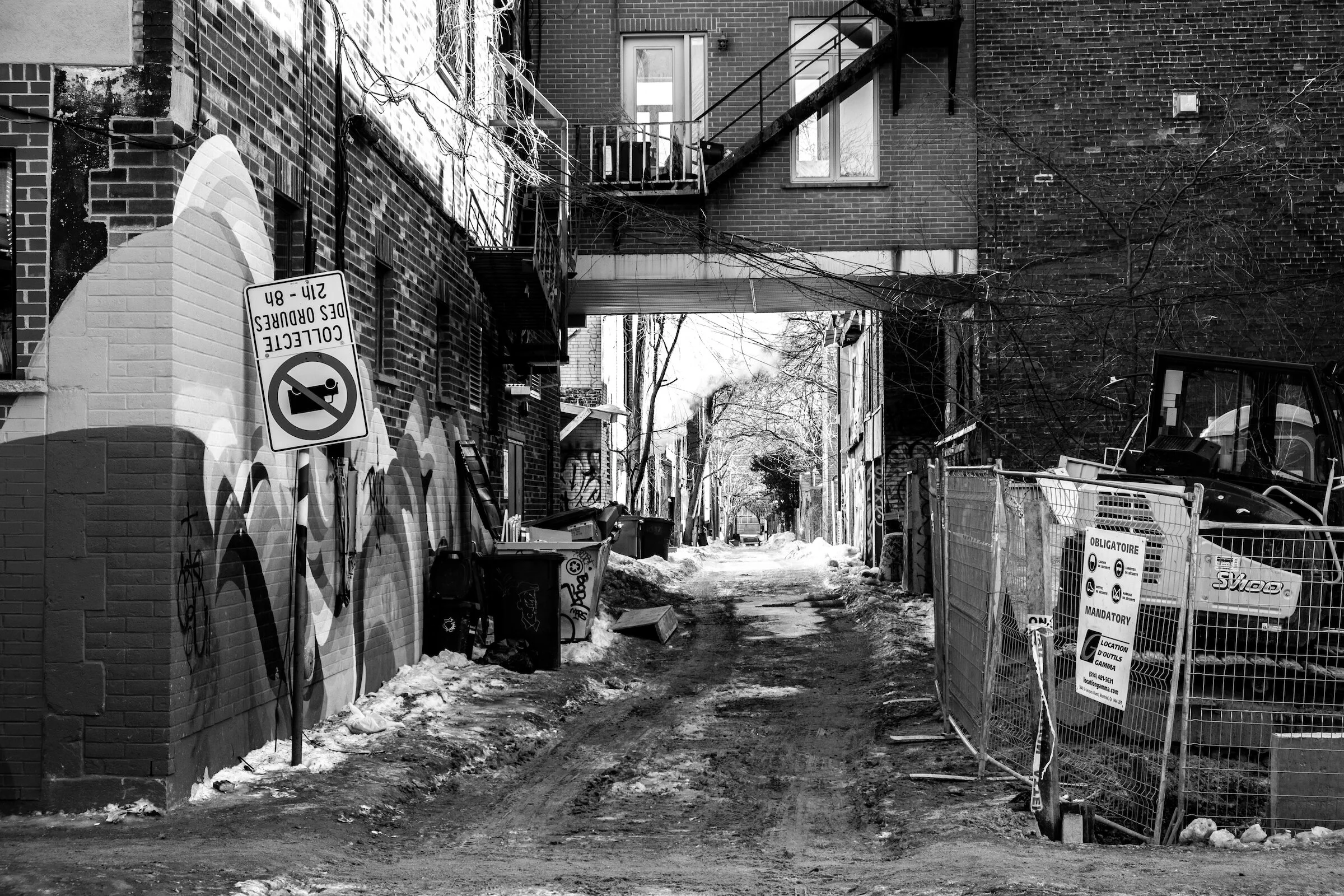 Alleywayfeb19 copy.jpg