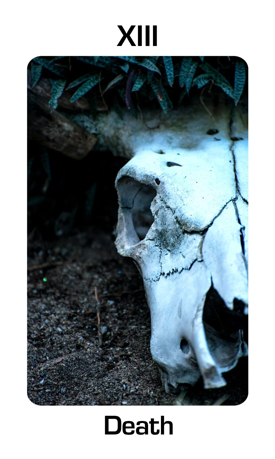 13-Death.jpg