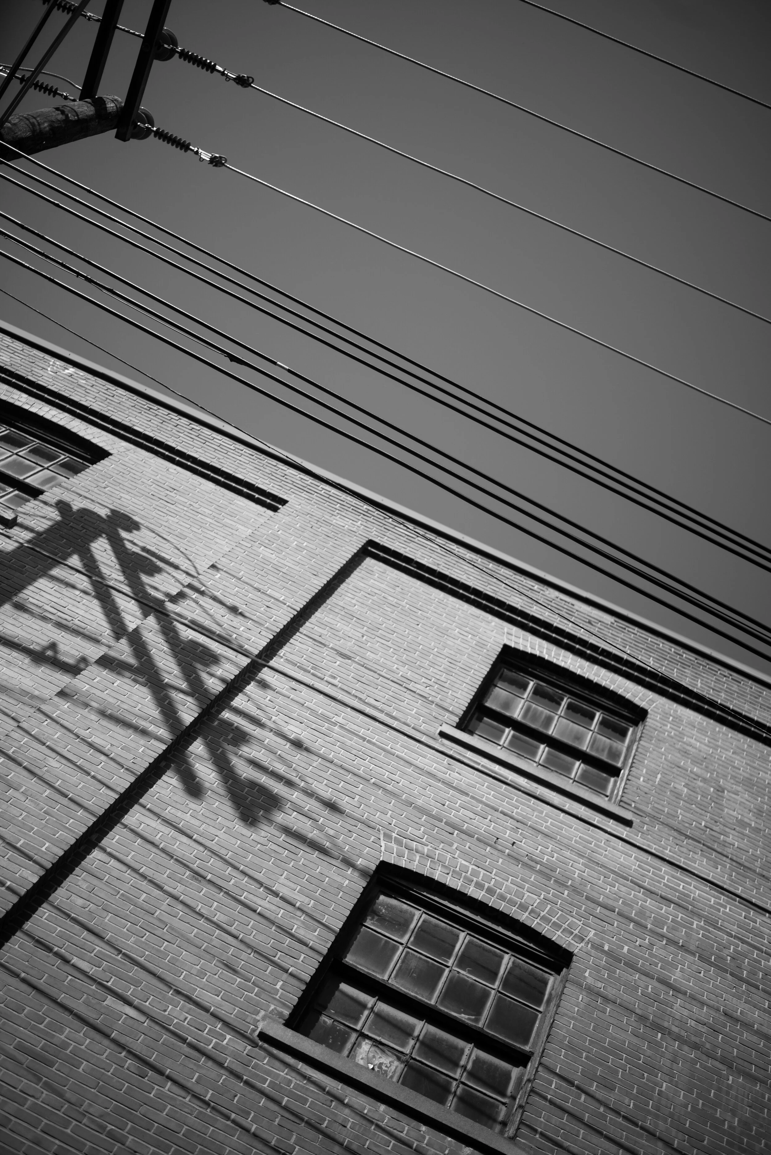 Lines copy.jpg