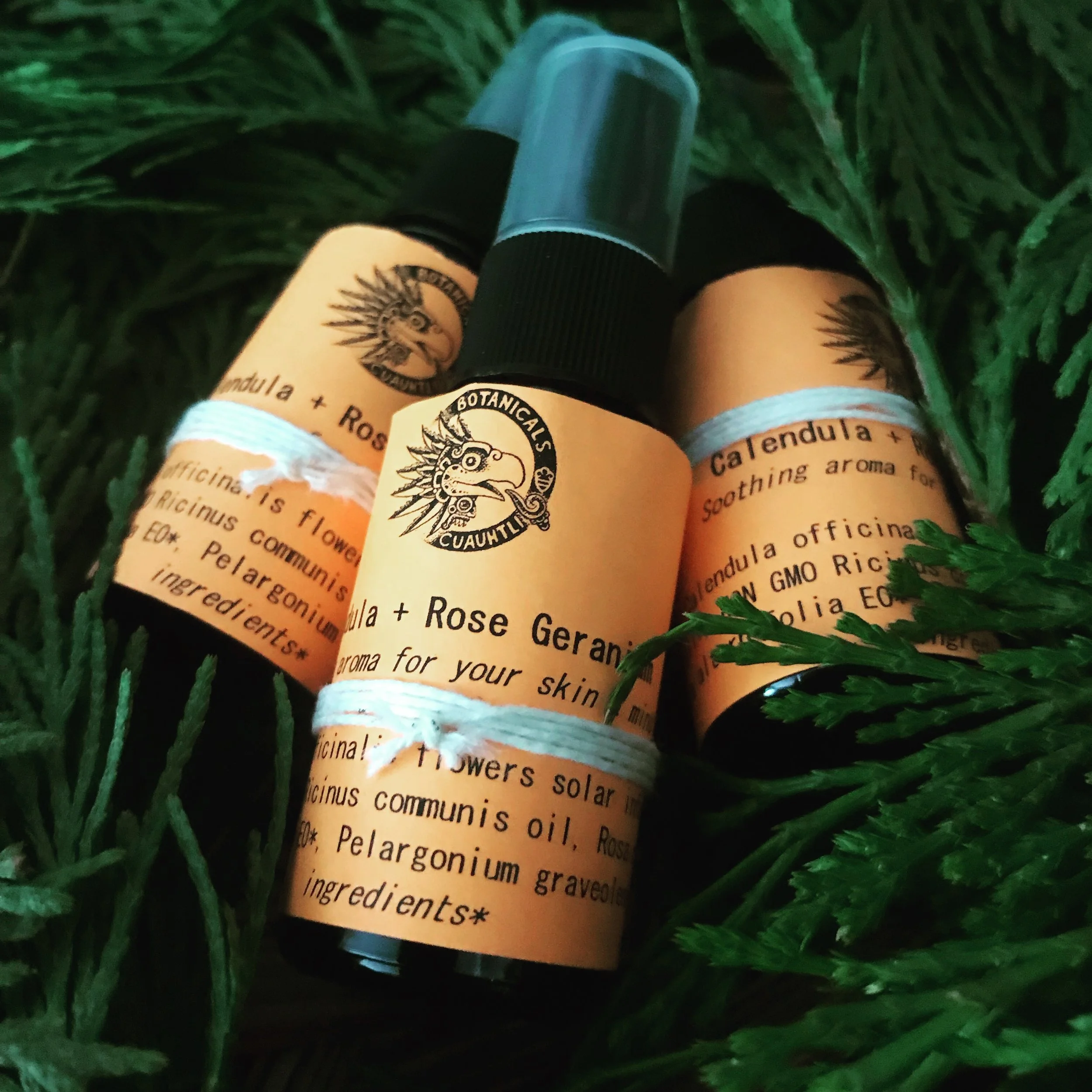 179C75A1-6110-4B6E-B1A8-AFC3062DCF54