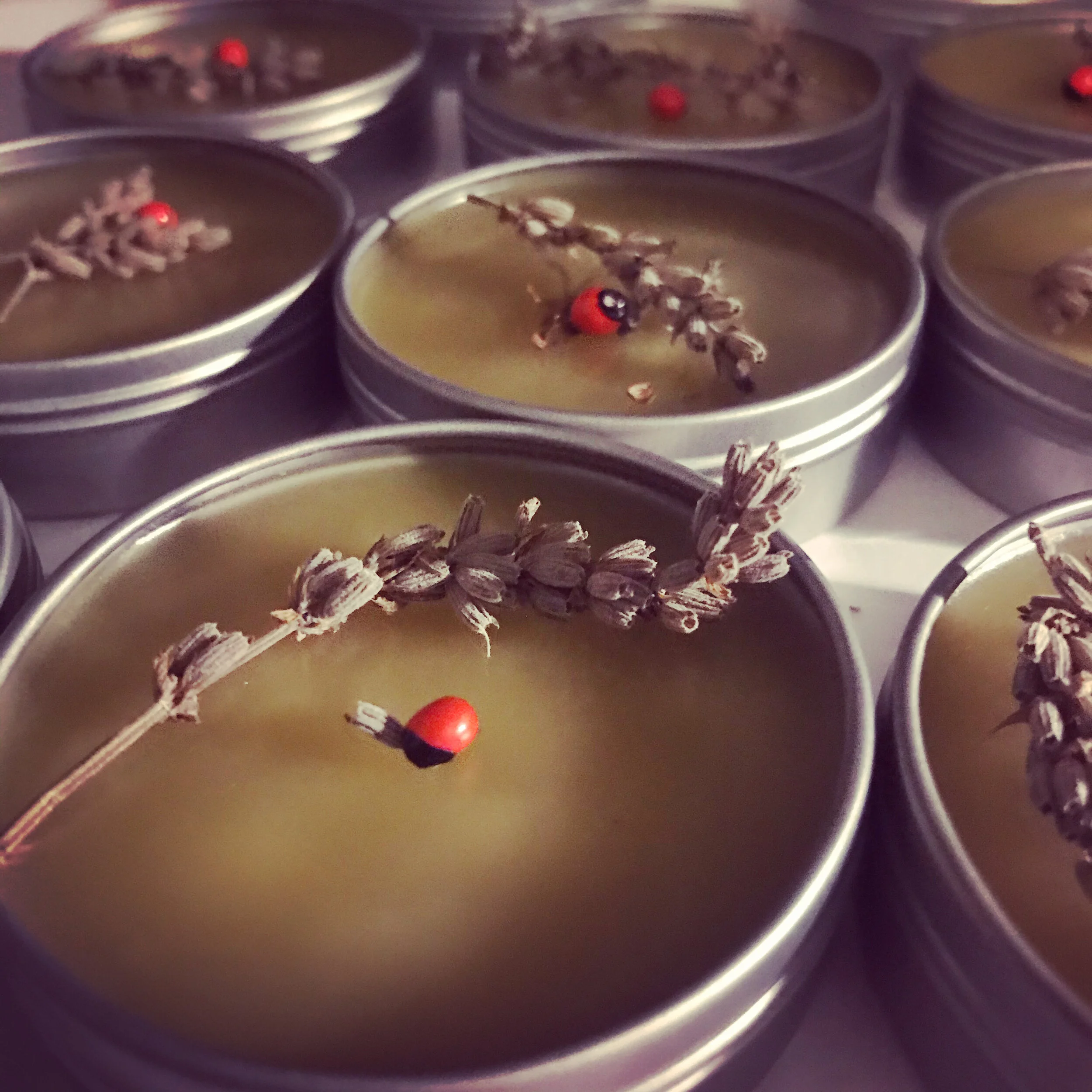 70956C1F-4FF5-45CE-AEC3-7C55B68104CC