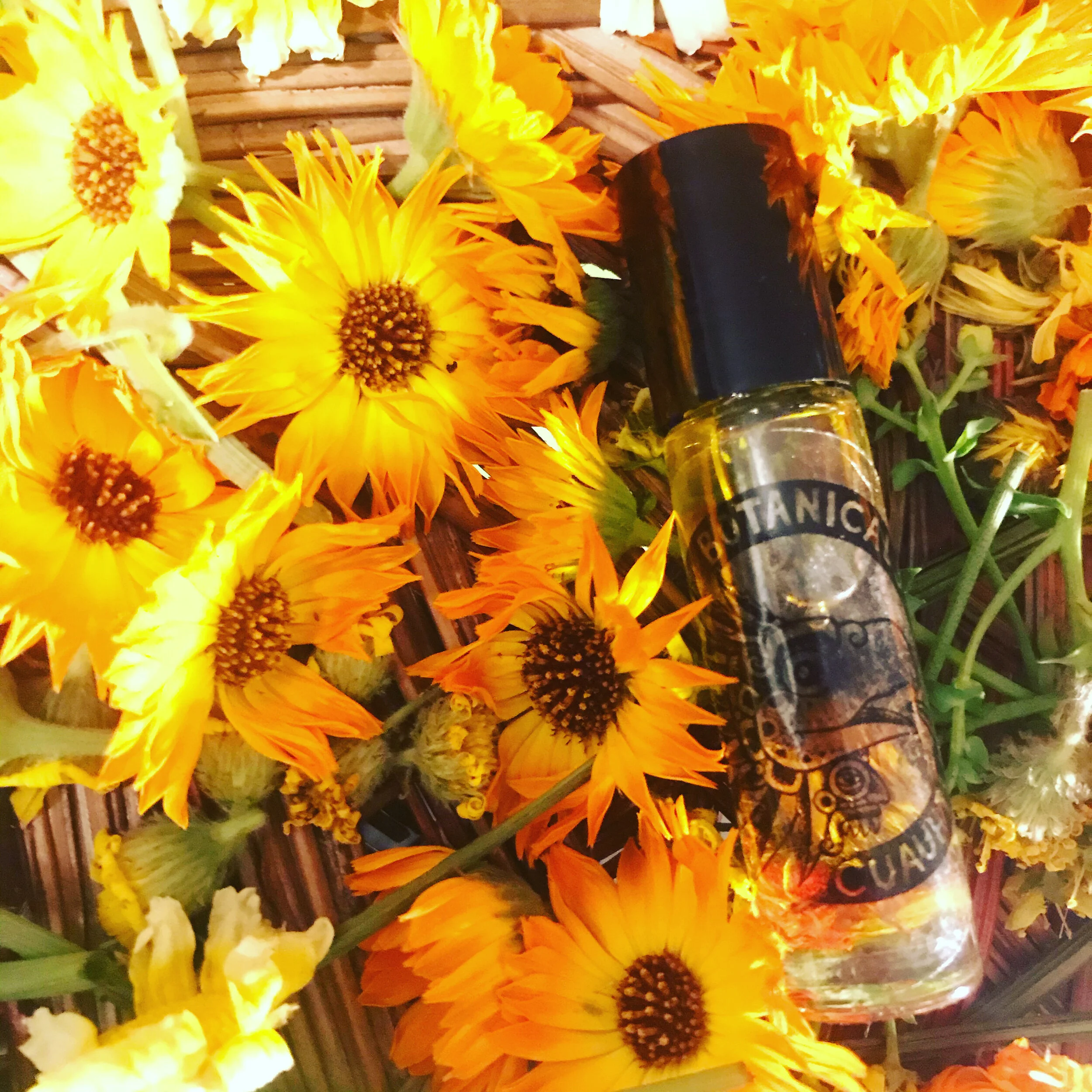 F5D9BCFF-4BEF-4785-BCBF-93E4DBFFB25C