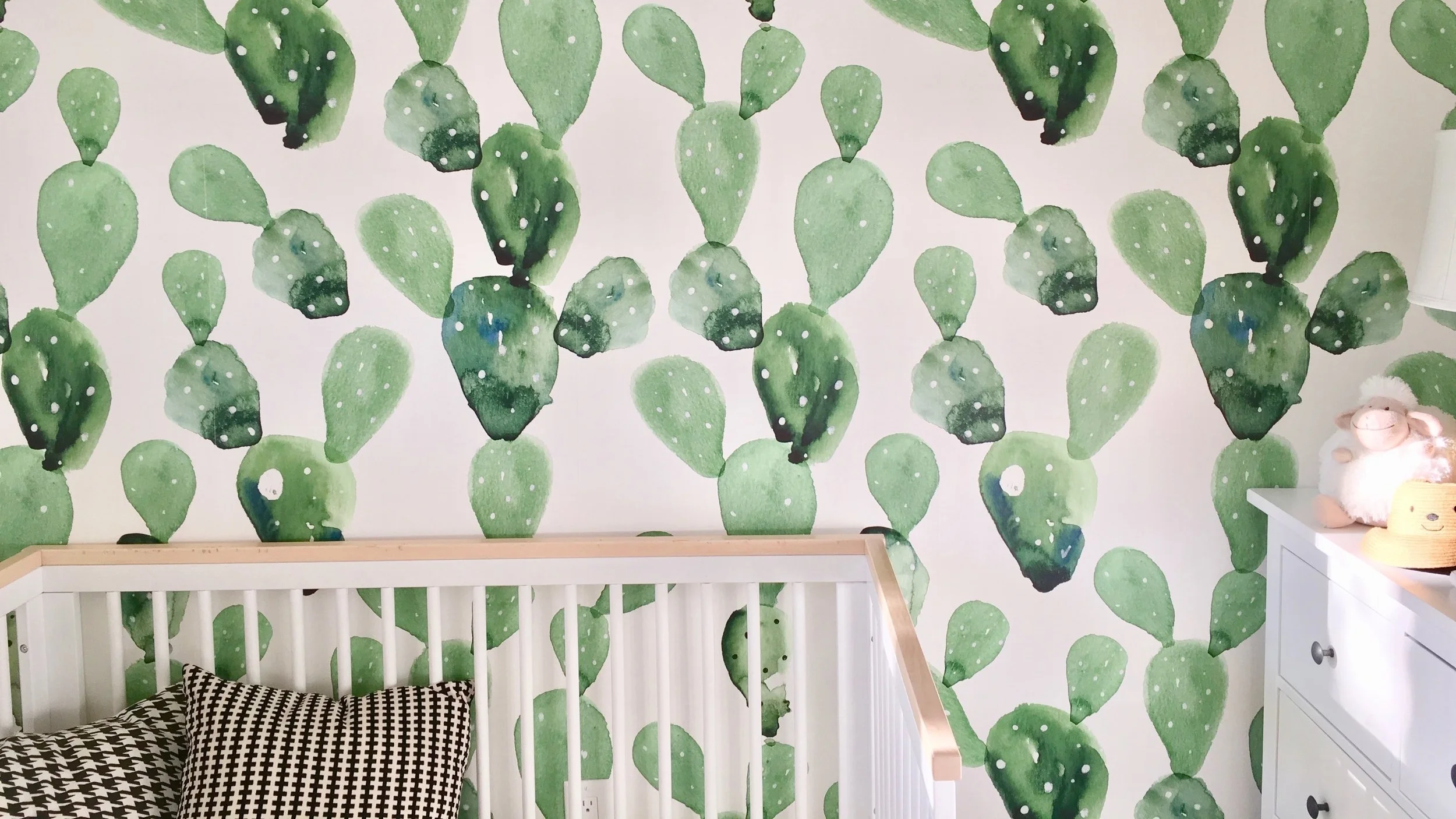 cactus-one.jpg