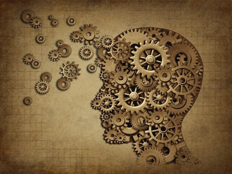 A Well Trained Mind