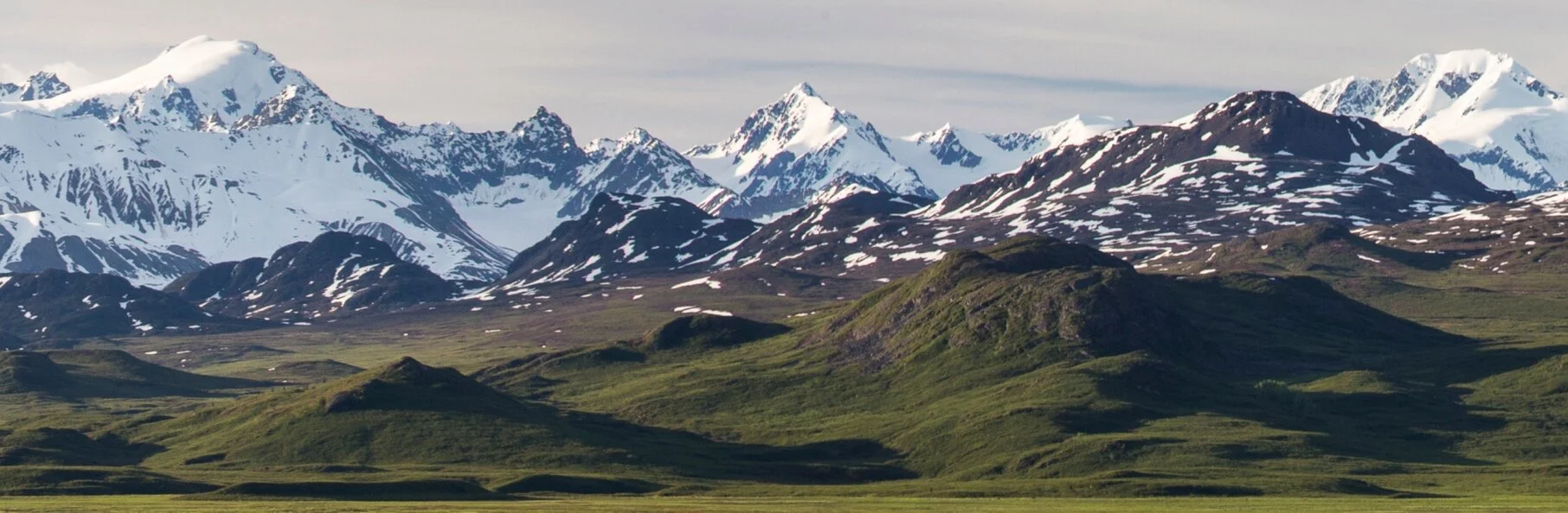 WEB_YouthBanner.jpg