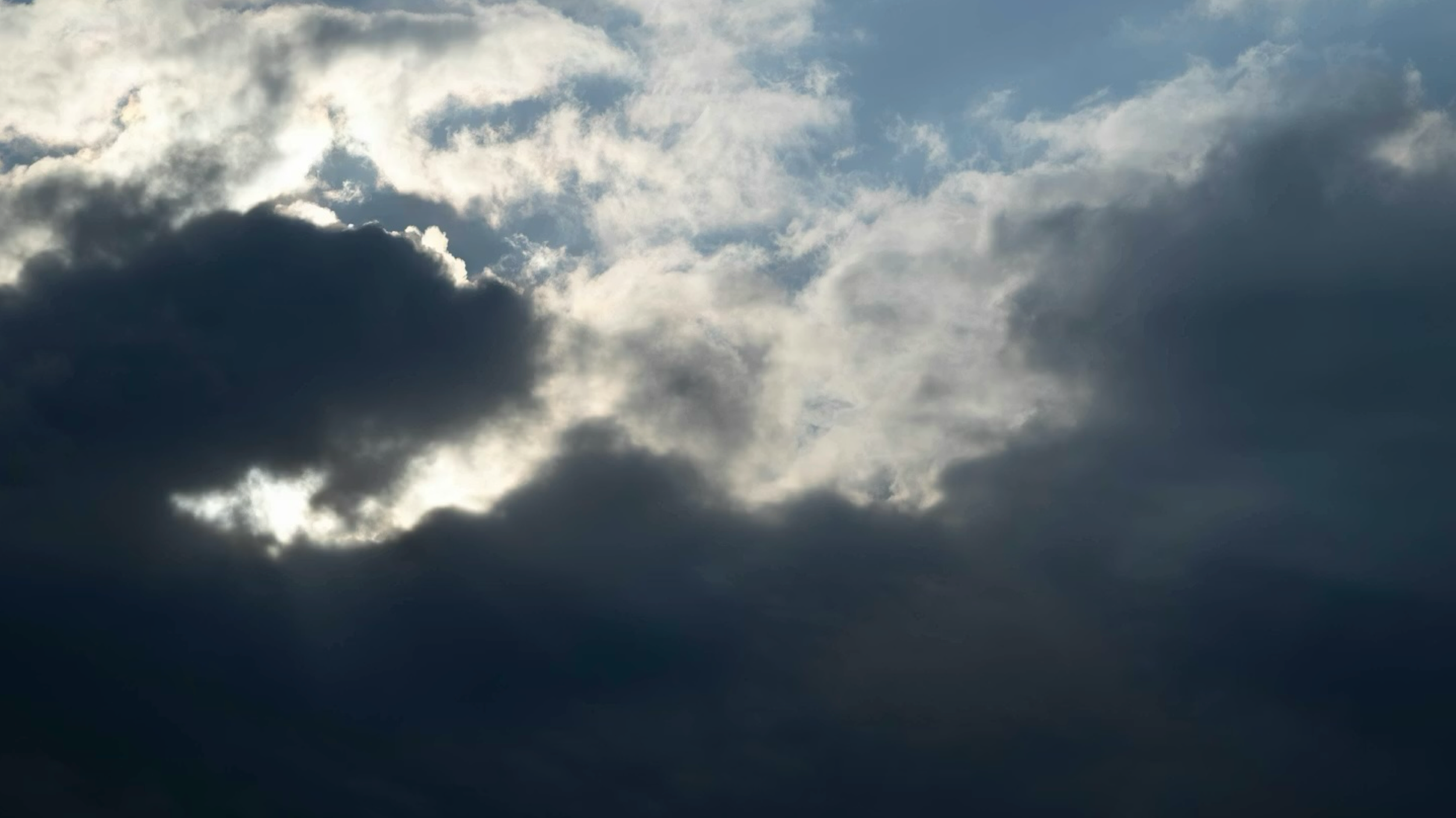 banner.png