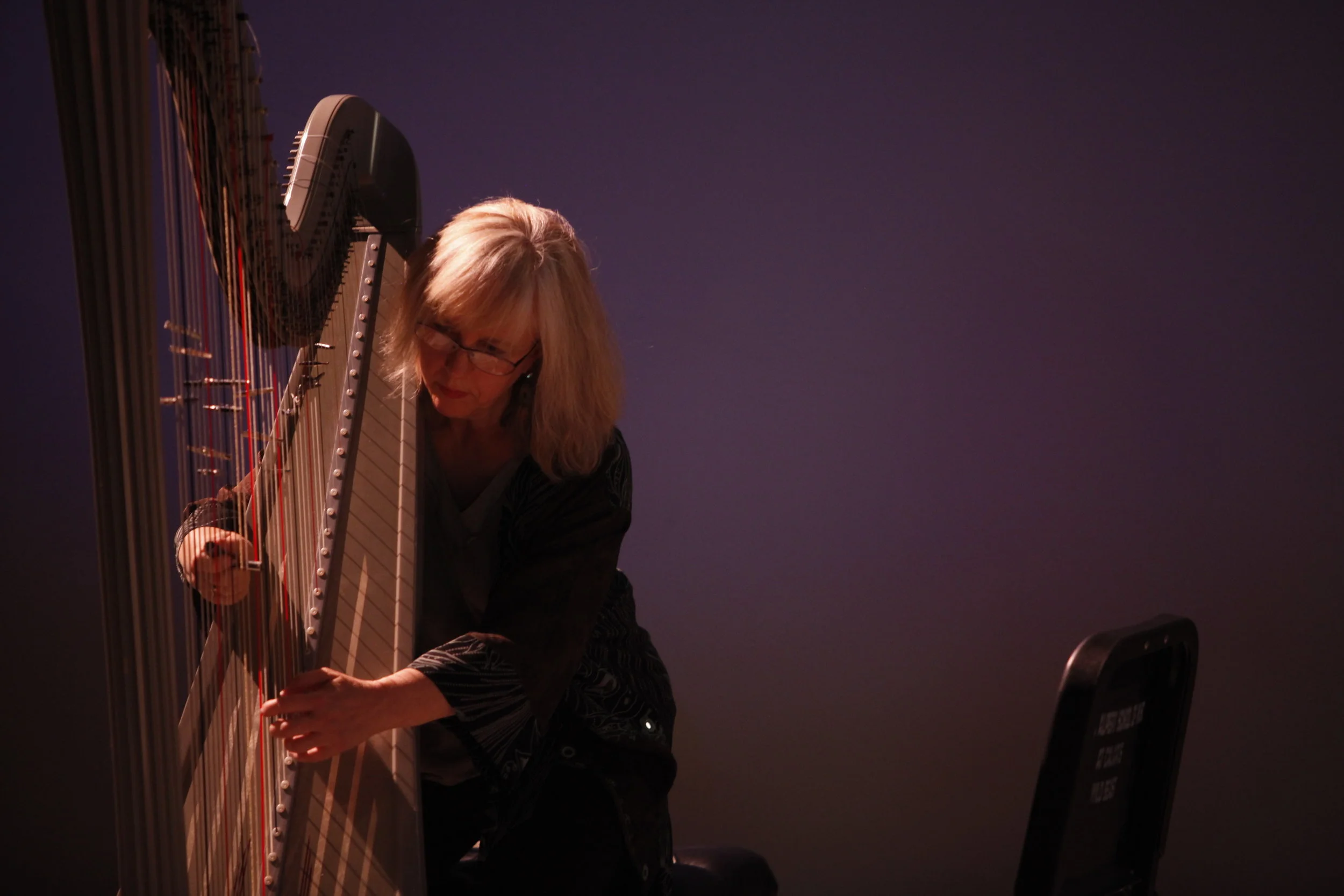 LeBaron with prepared harp