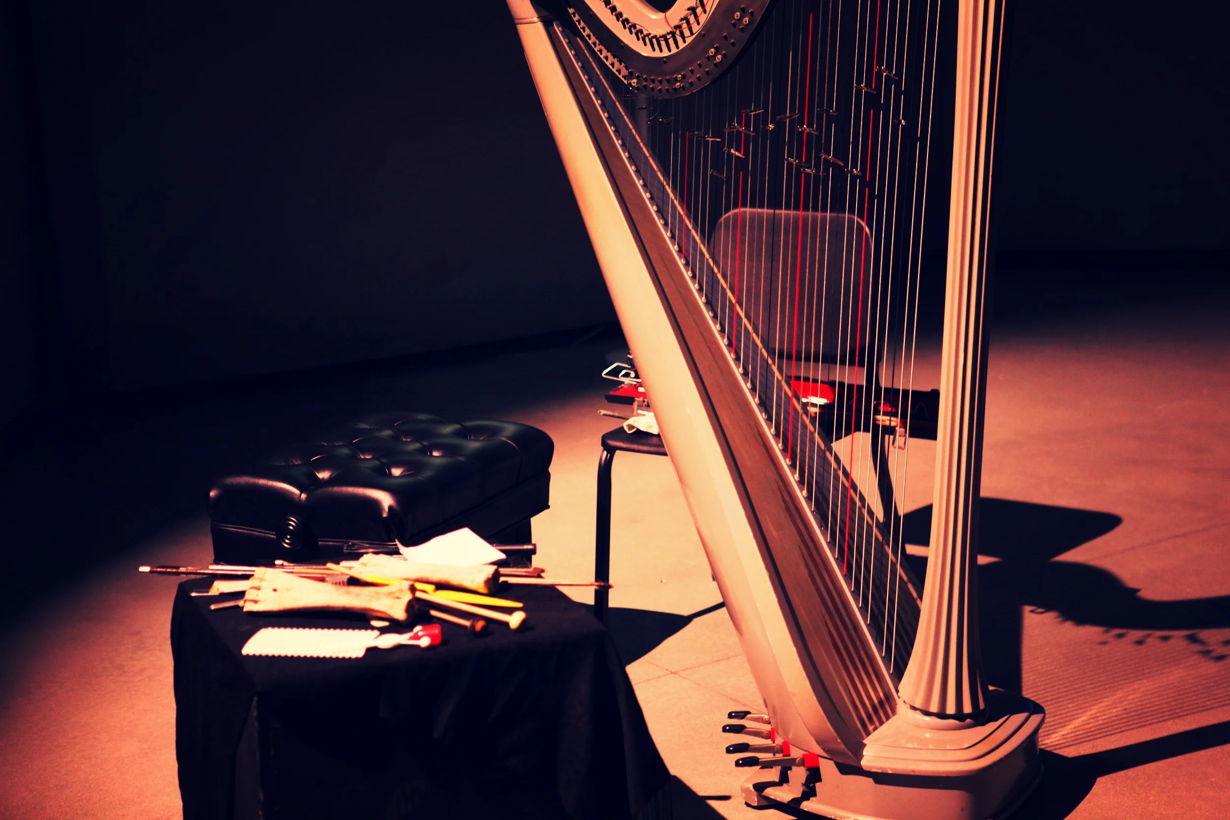 gamelan harp
