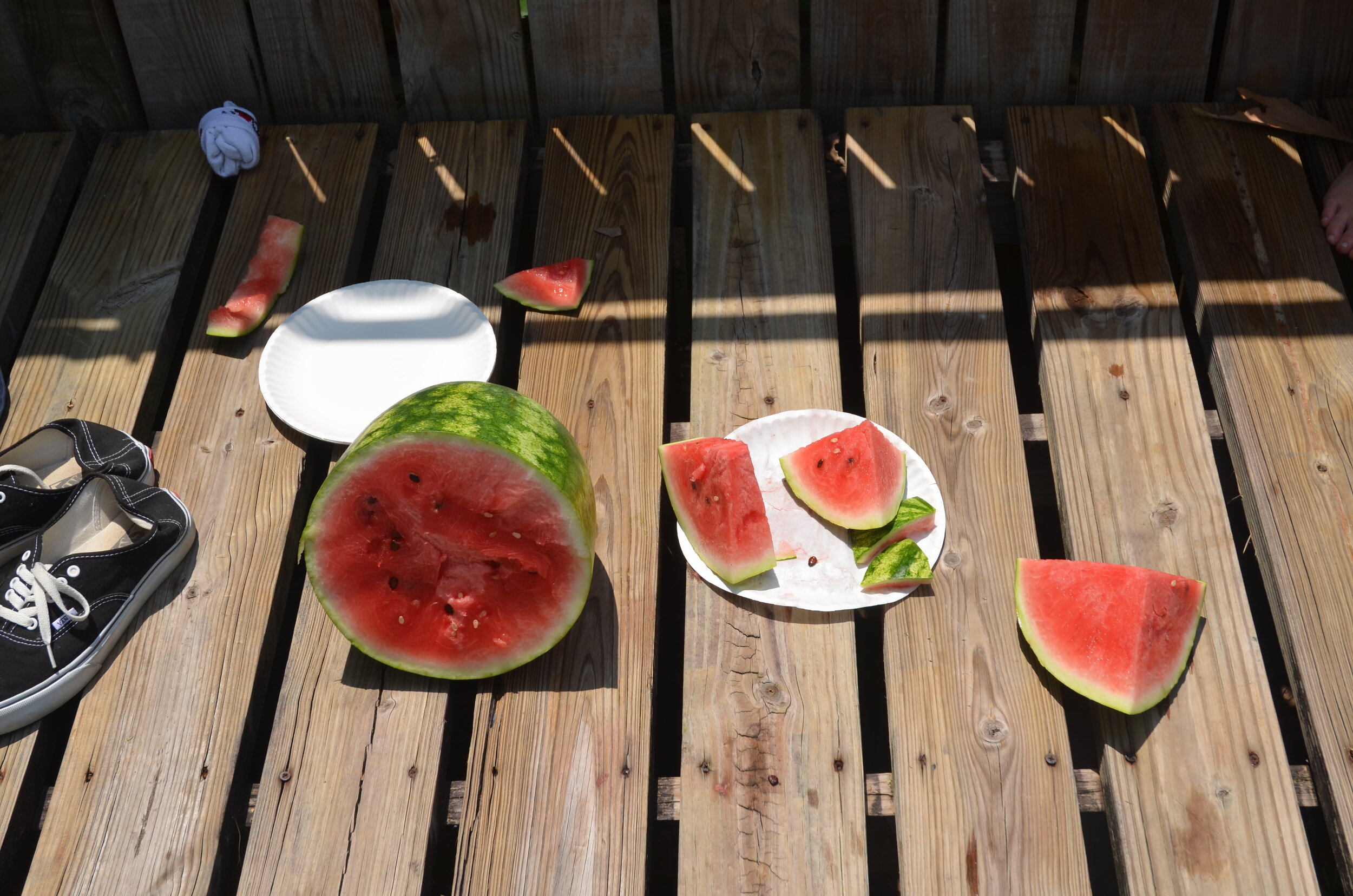 Watermelon_Digital Photo.JPG